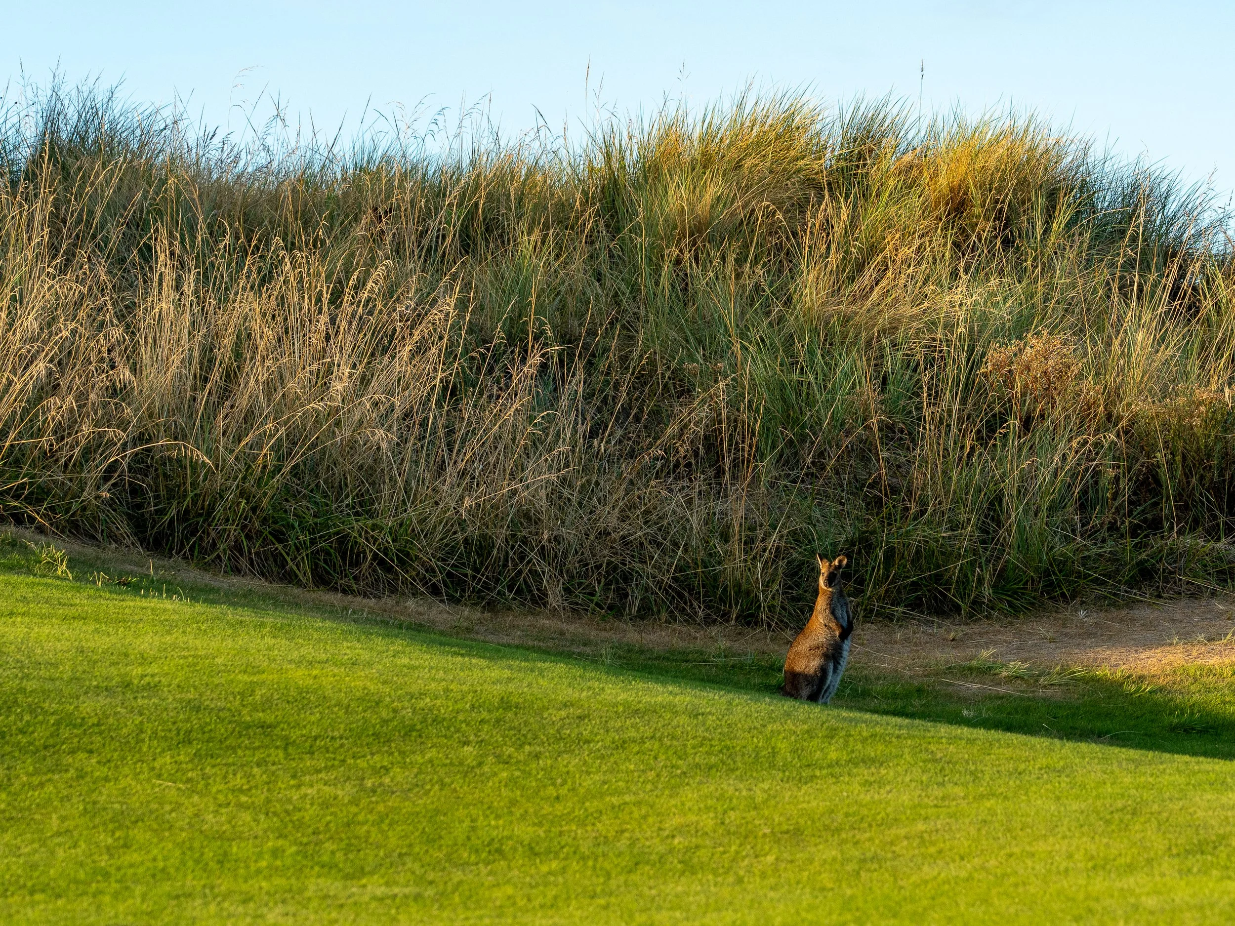 DunesGolfCourse-9.jpg