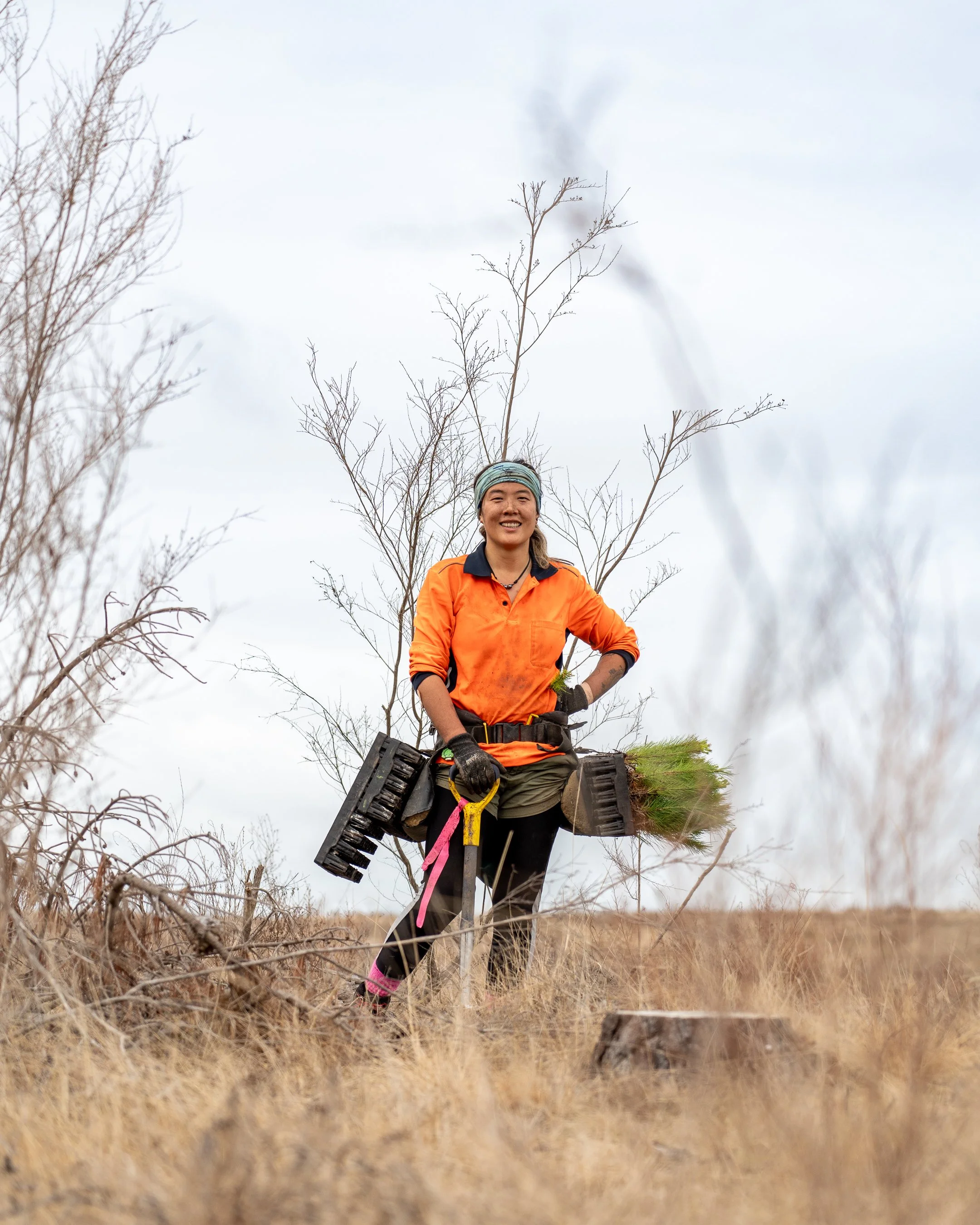 PacificReforestation-159.jpg