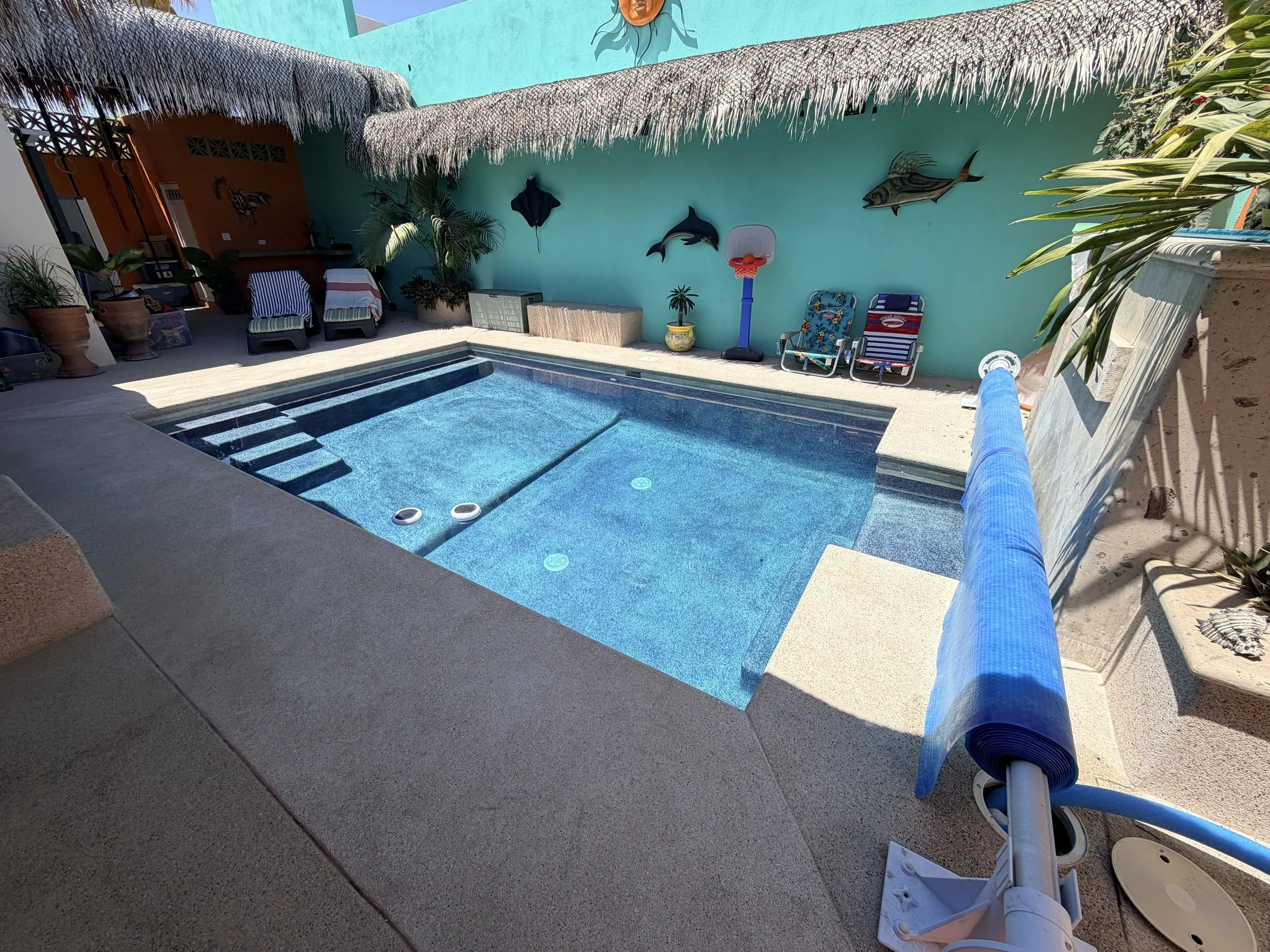 A backyard with a swimming pool, lounge chairs, potted plants, a basketball hoop, and wall decorations, including a sun face sculpture and fish sculptures on a turquoise wall. There is a thatched roof structure overhead.
