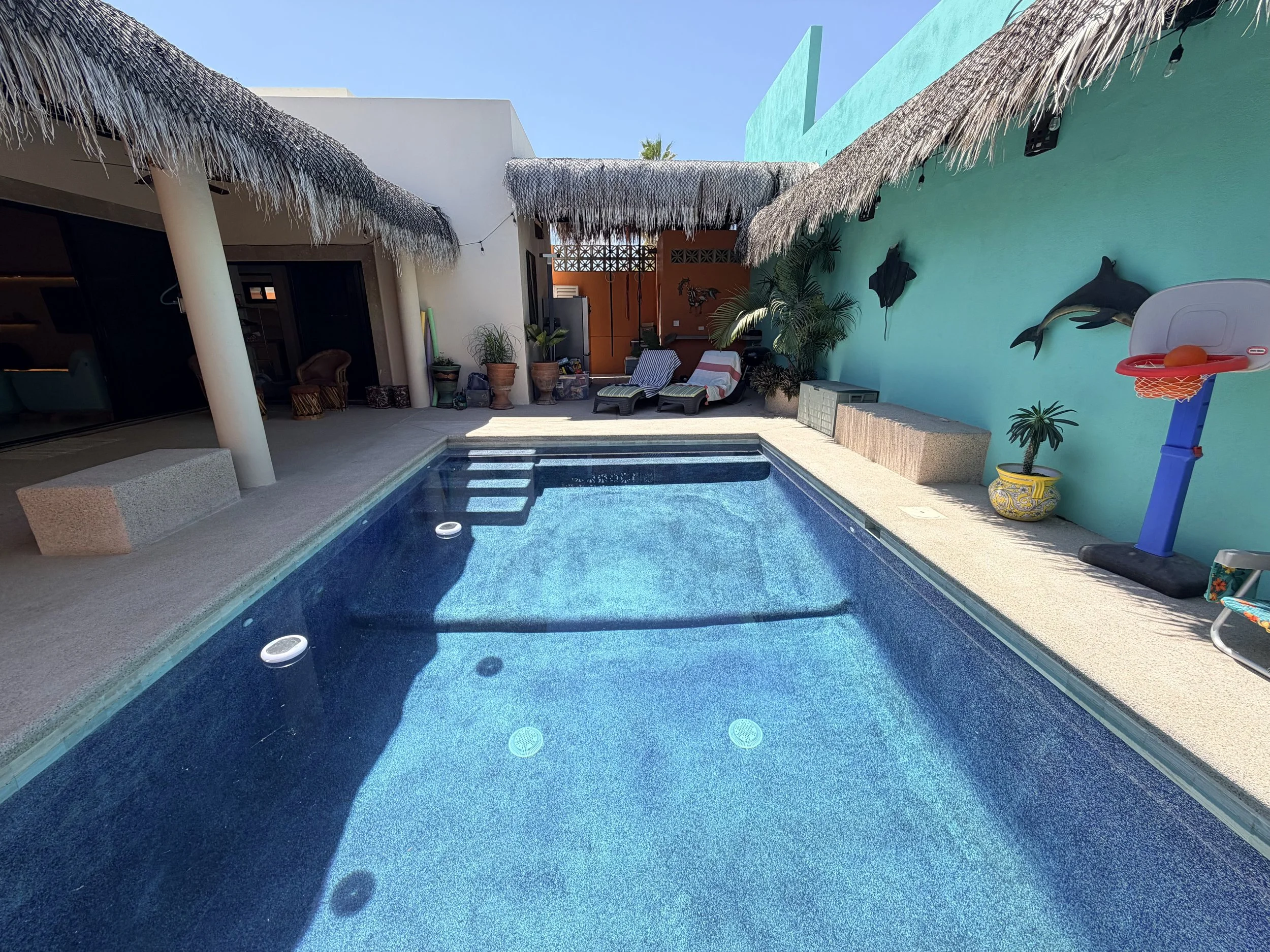 A backyard with a swimming pool, lounge chairs, potted plants, and a wall with dolphin decorations.