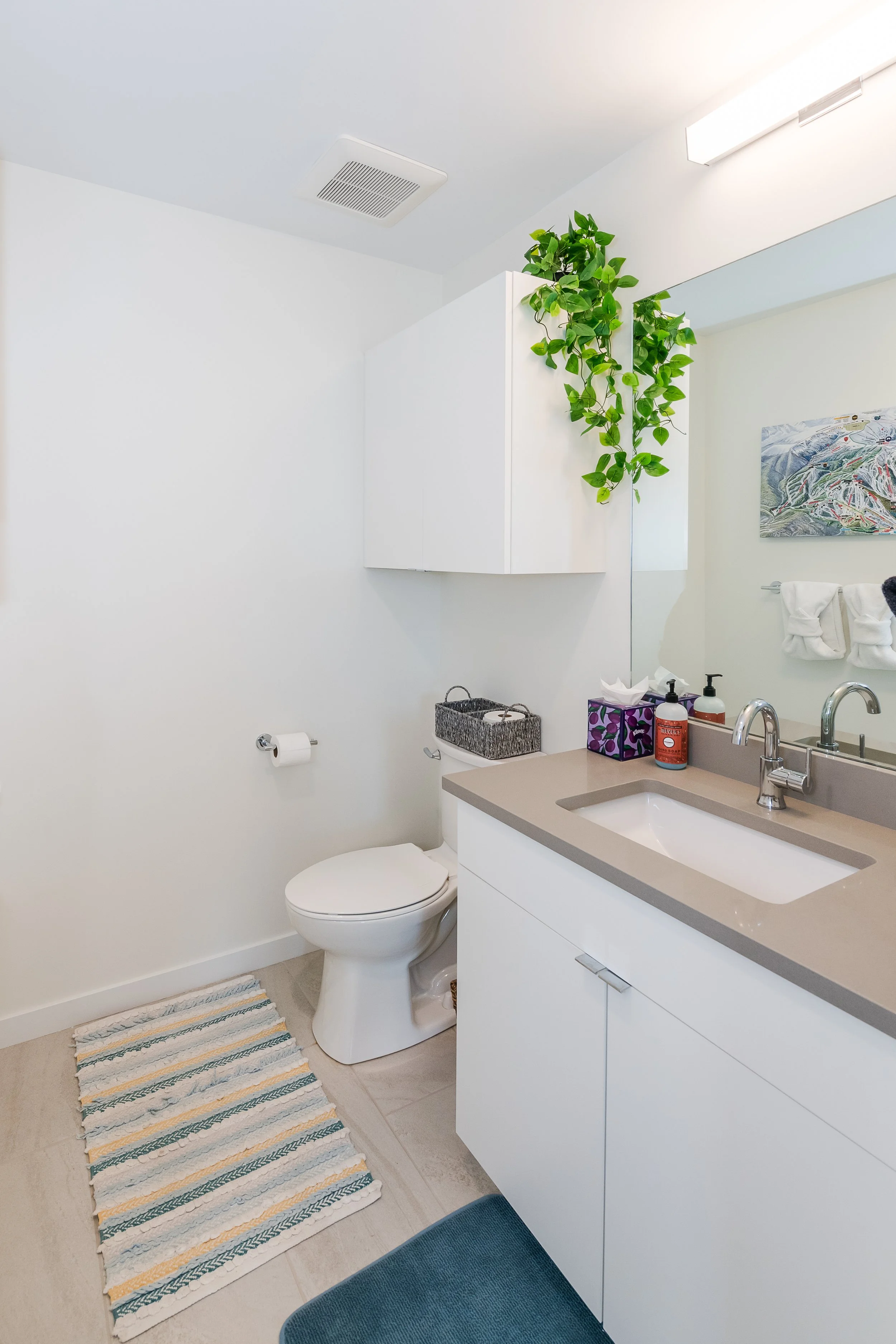 A bathroom with a toilet, a sink with a countertop, and a large mirror. There are decorative towels, and a striped rug on the tile floor. A potted plant is hanging near the mirror, and there's artwork on the wall. Soap bottles and tissue boxes are on