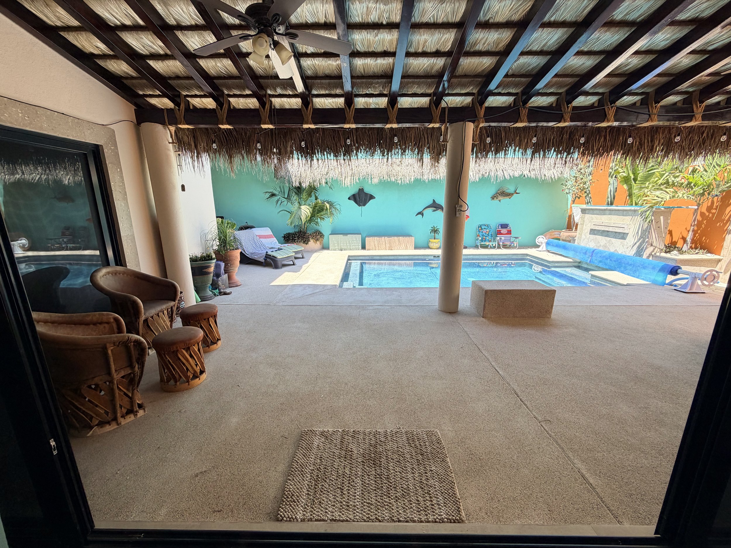View from inside a house looking out onto a backyard patio with a swimming pool, tropical plants, and dolphins painted on the teal wallboard.