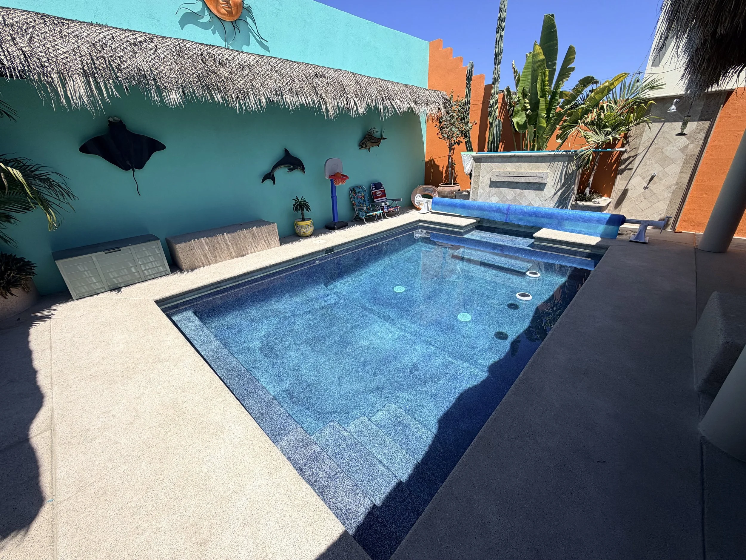 A backyard scene with a swimming pool, tropical plants, and a brightly colored house wall with fish and seaweed decorations.