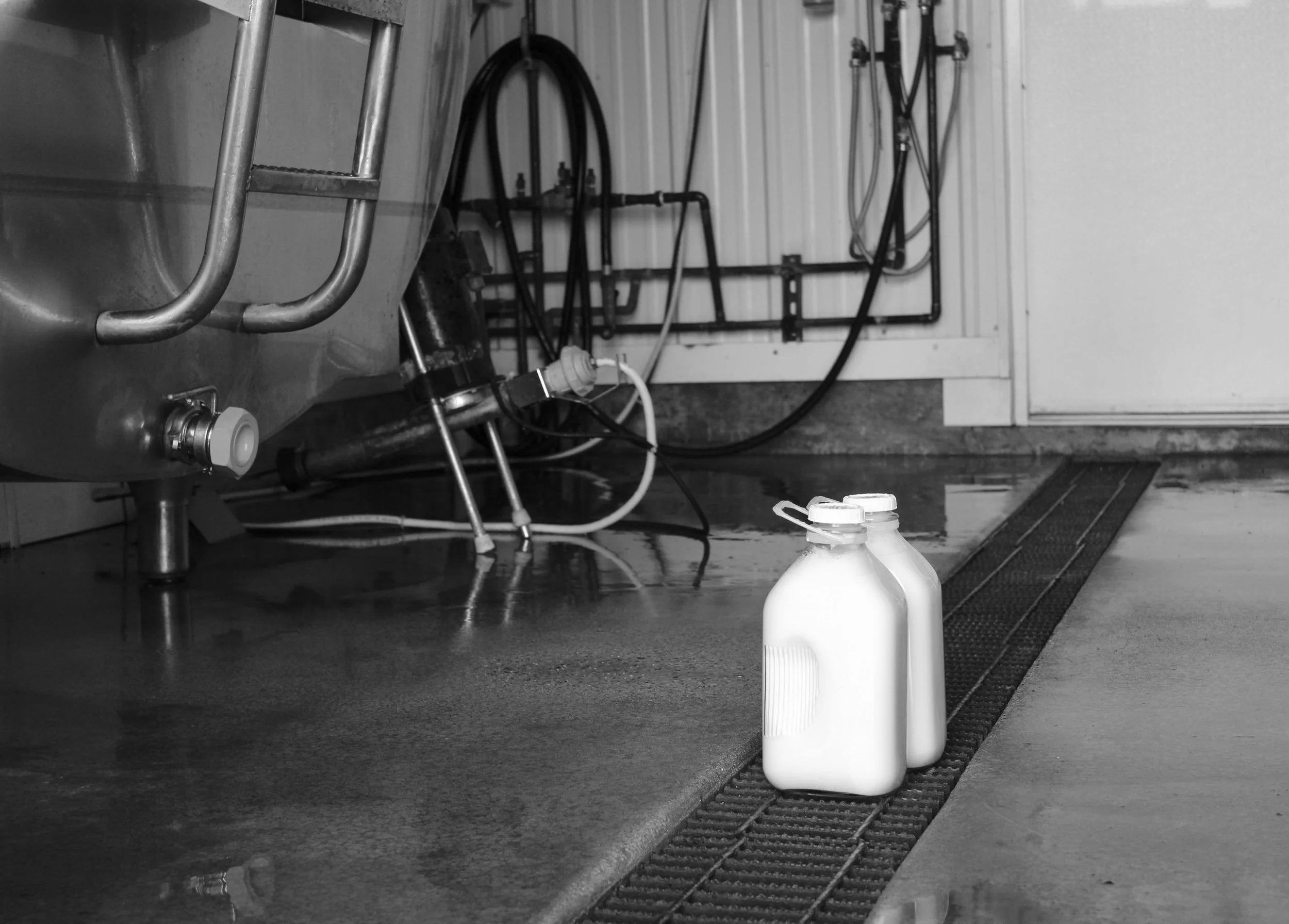 Two glass milk bottles with screw-on caps on a wet floor in front of a milk tank