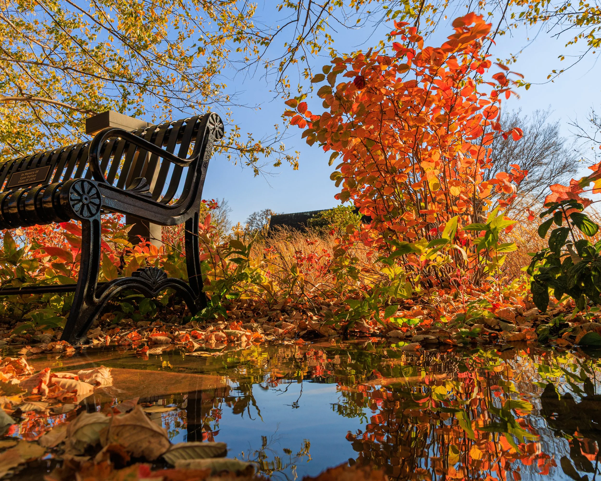 fall_campus_photos-22.jpg