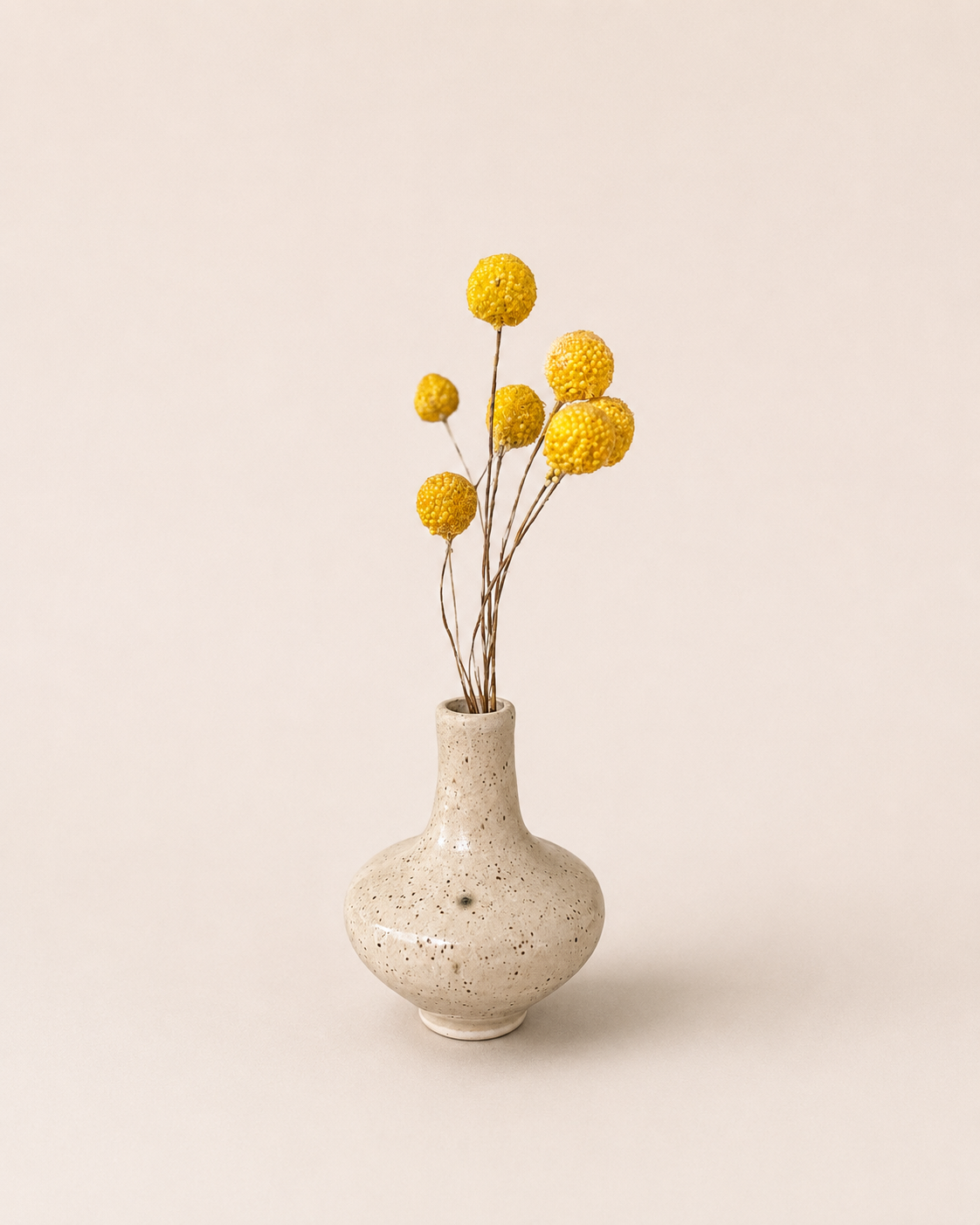 Walnut Bud Vase