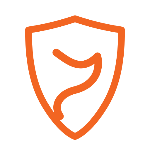 Illustration of a shield with a stylized flame inside, representing protection and safety.