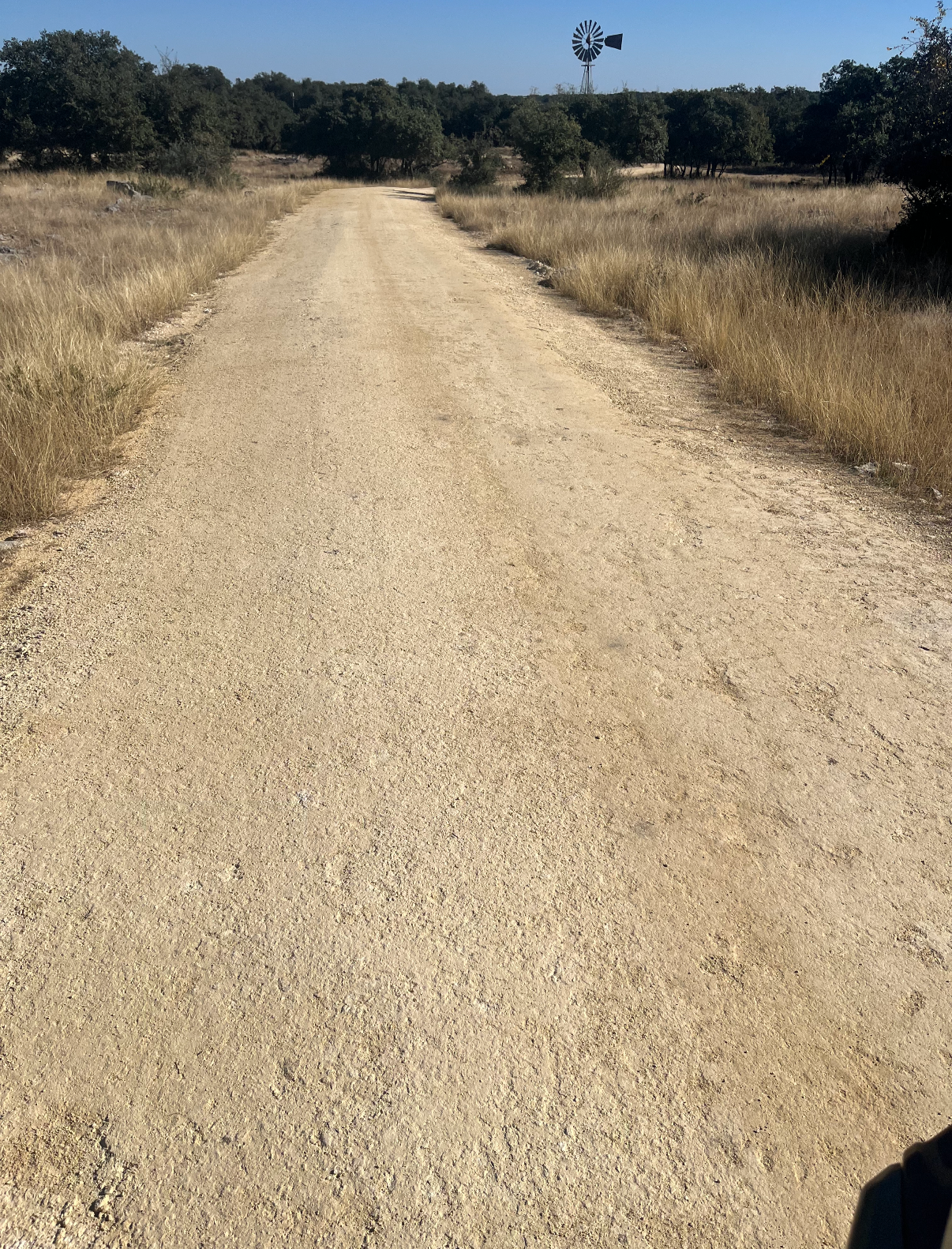 A dirt road stretches through a rural landscape with dry grass and sparse trees on either side. In the distance, there is a windmill on a small hill.