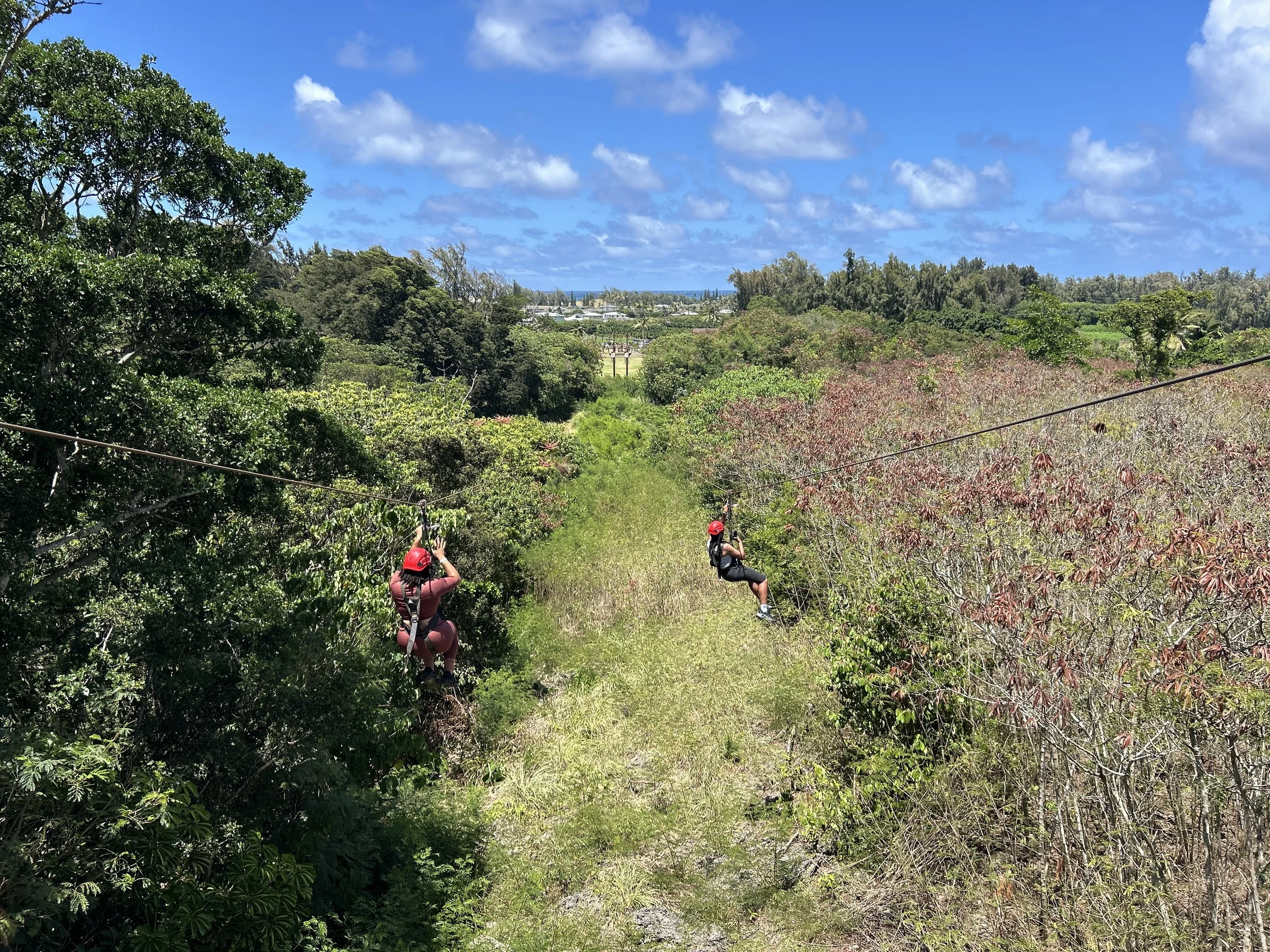 Retreats and Team Building Experiences