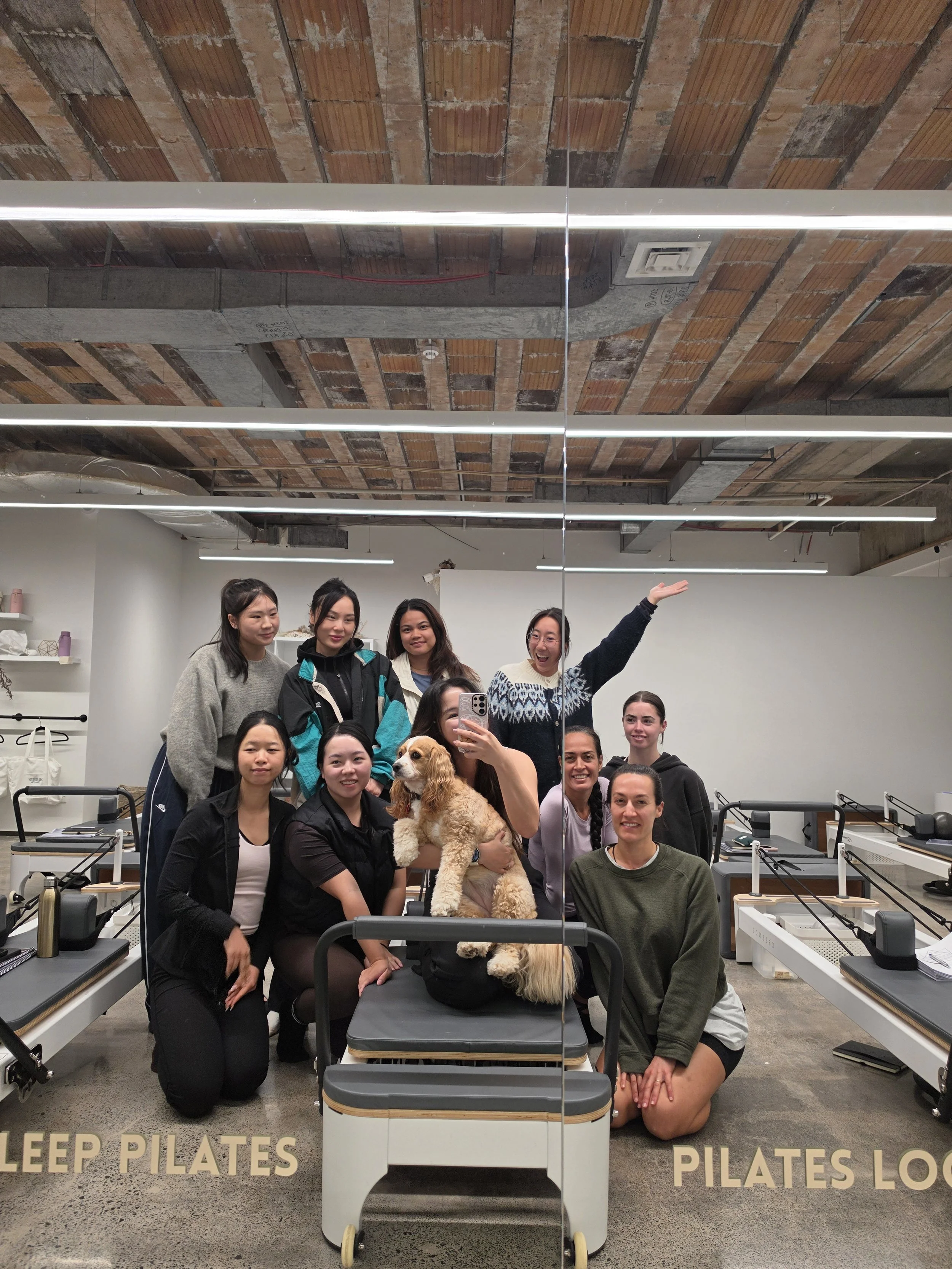 Reformer Pilates Teacher Training Auckland