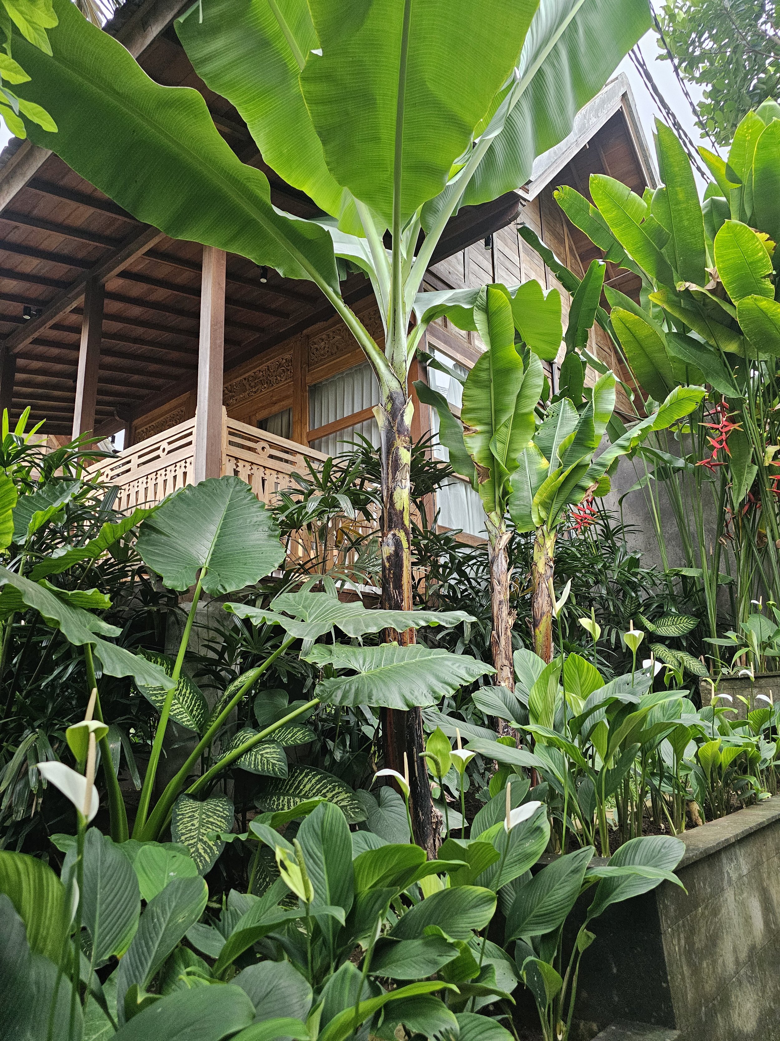Bali Pilates Instructor Certification