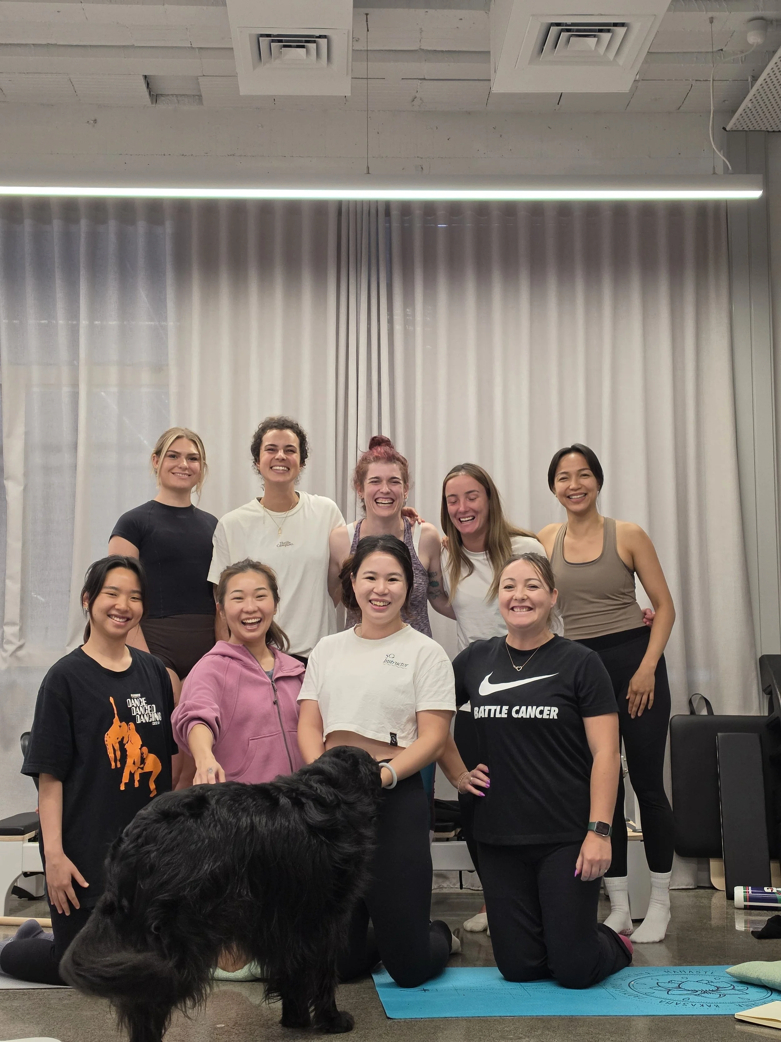 Auckland mat pilates training