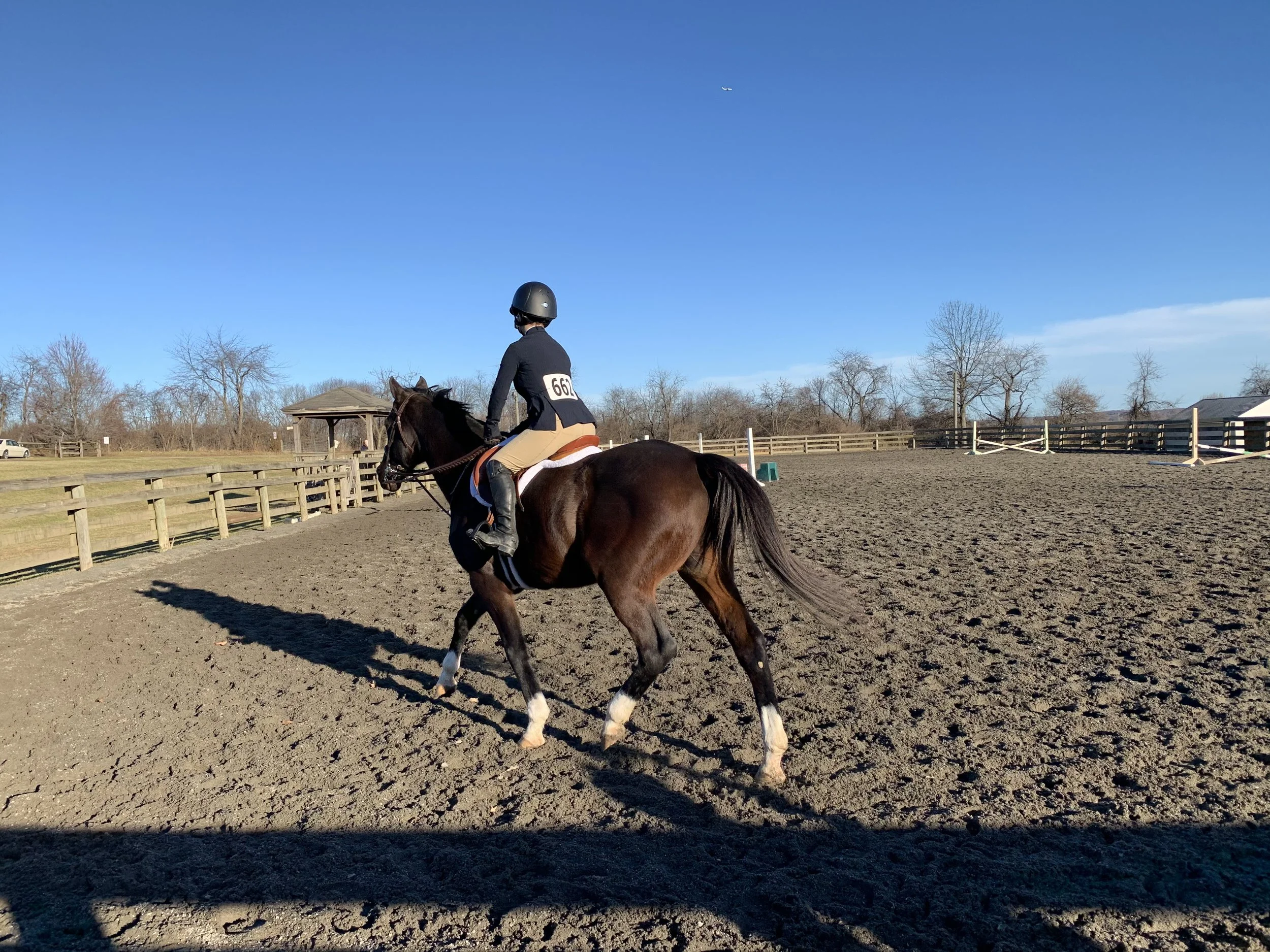 A person riding a brown horse in an outdoor riding arena with a wooden fence, leafless trees, and a small pavilion in the background on a clear, sunny day.