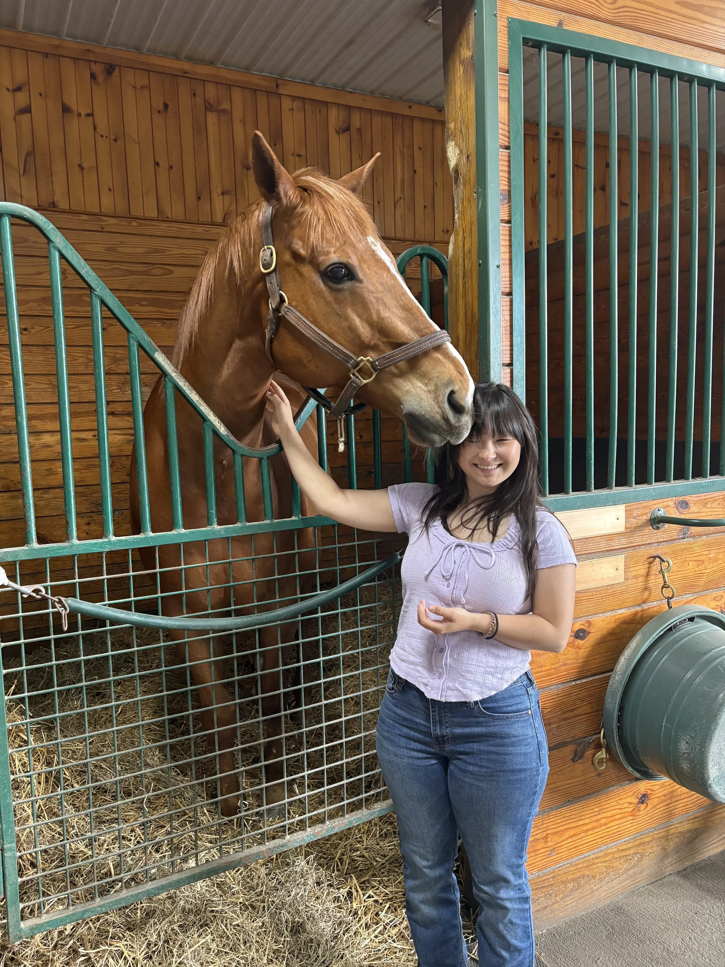 A young woman is smiling and petting a brown horse through a green metal fence inside a wooden stable.