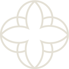 Empty floral design outline with symmetrical petal pattern