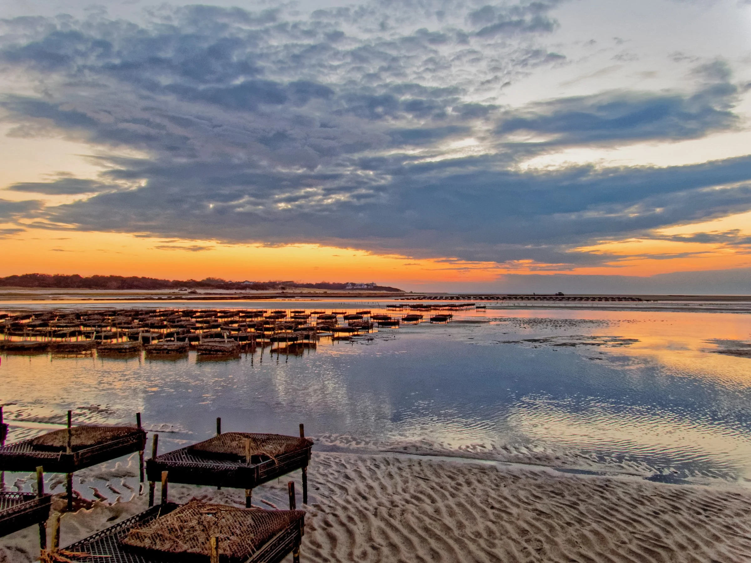 Seascapes-6.jpg