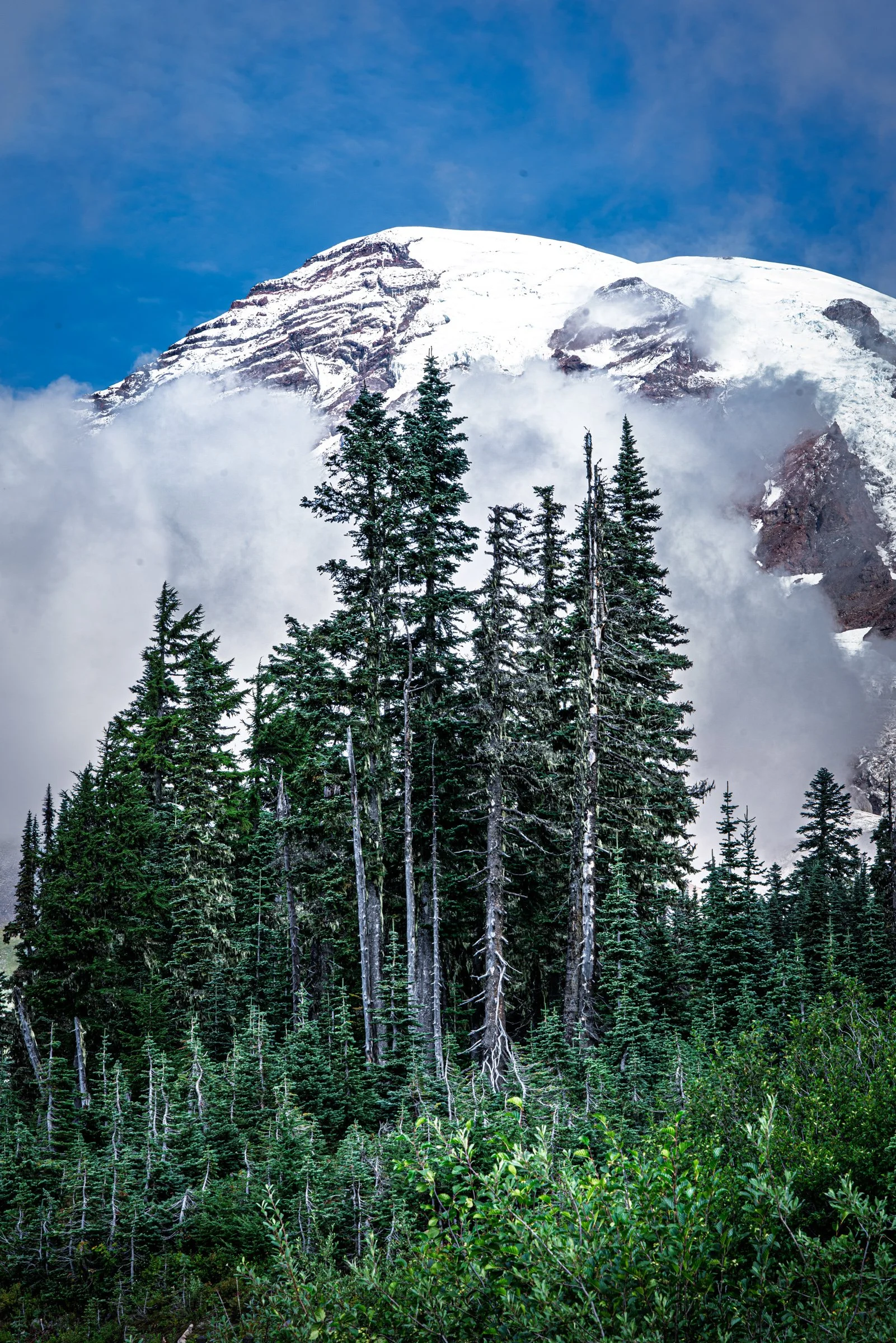 landscapes-8.jpg
