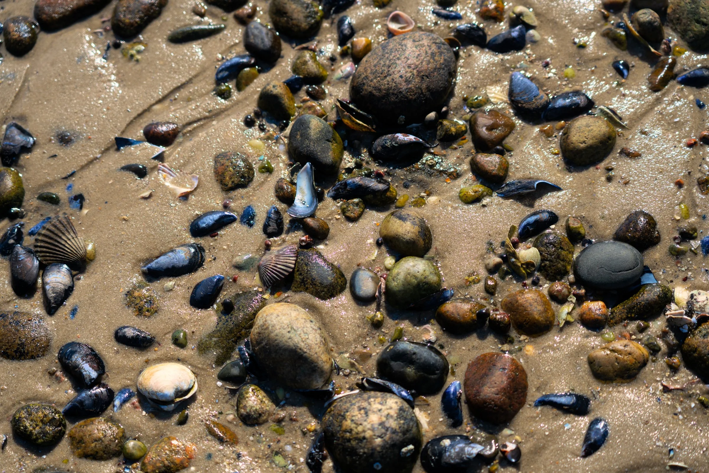 Seascapes-9.jpg
