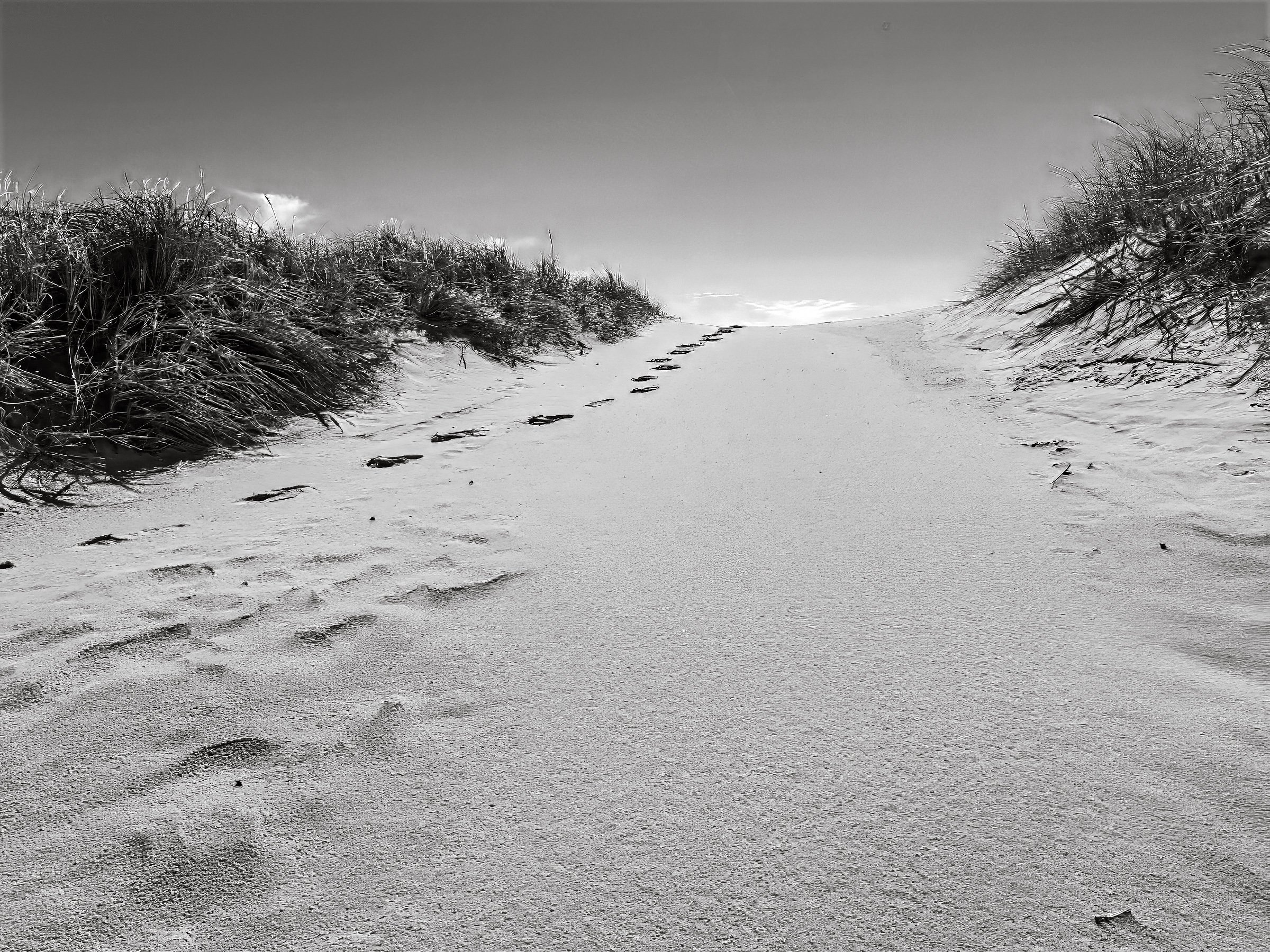 Seascapes-3.jpg