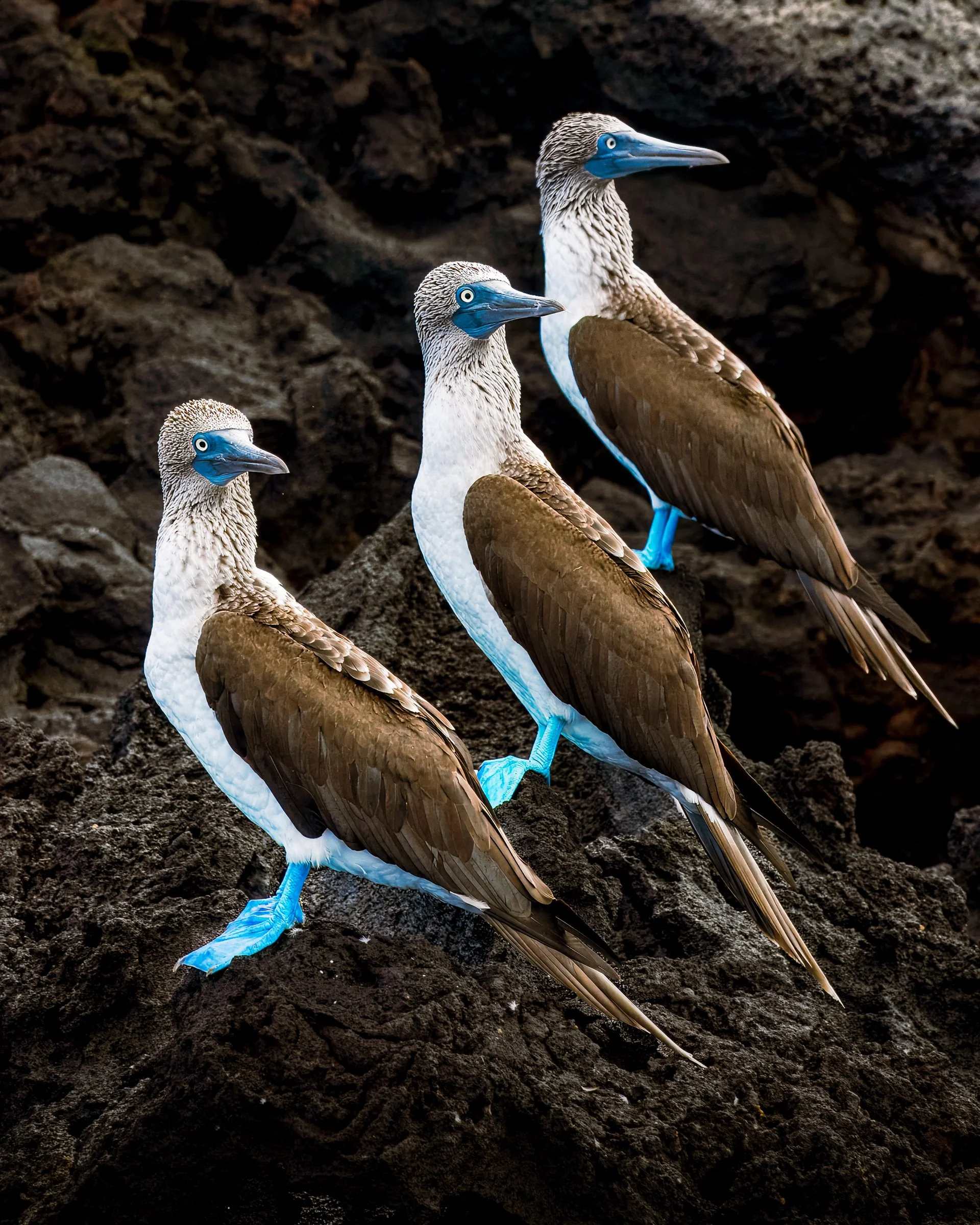 wildlife-16.jpg