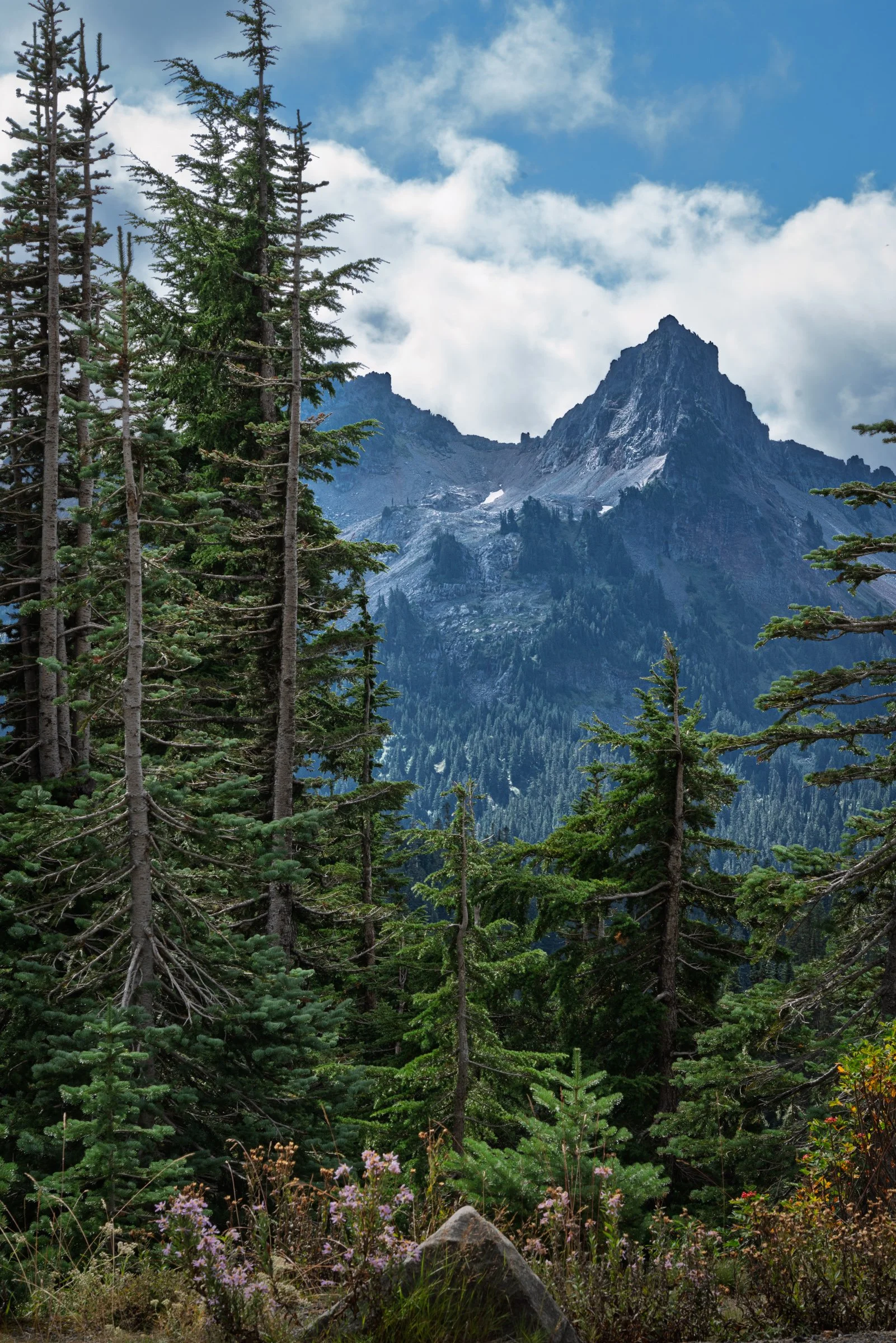 landscapes-3.jpg