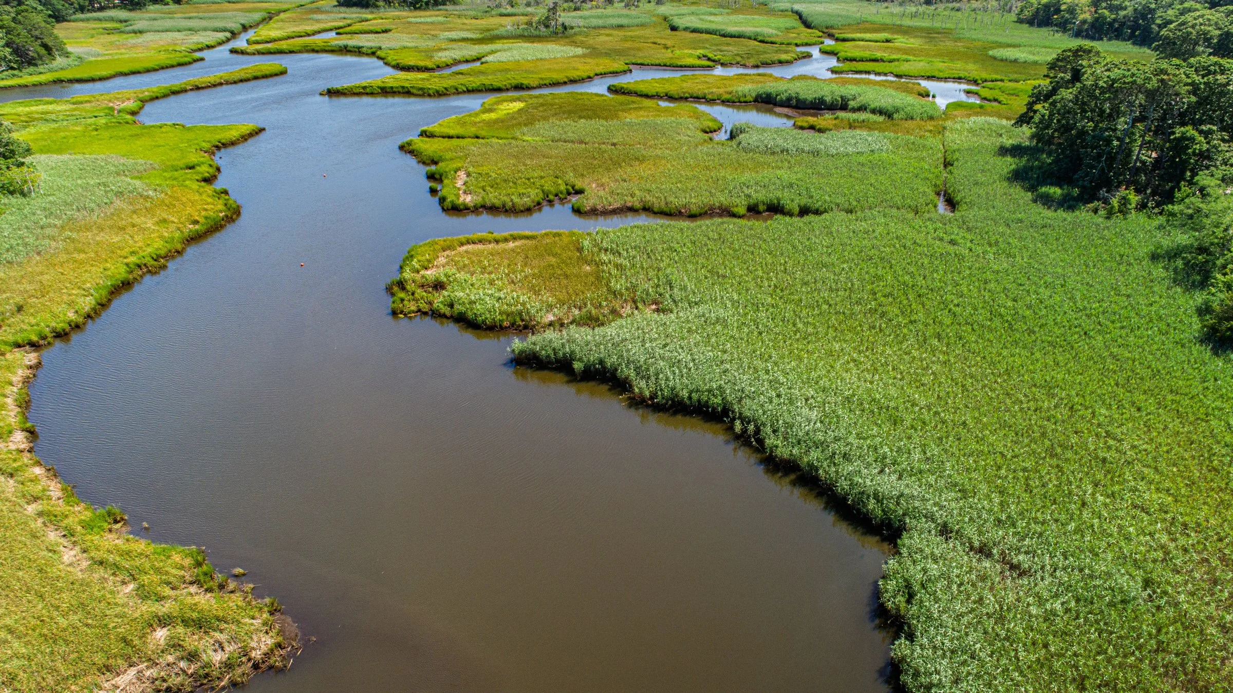 aerials-12.jpg