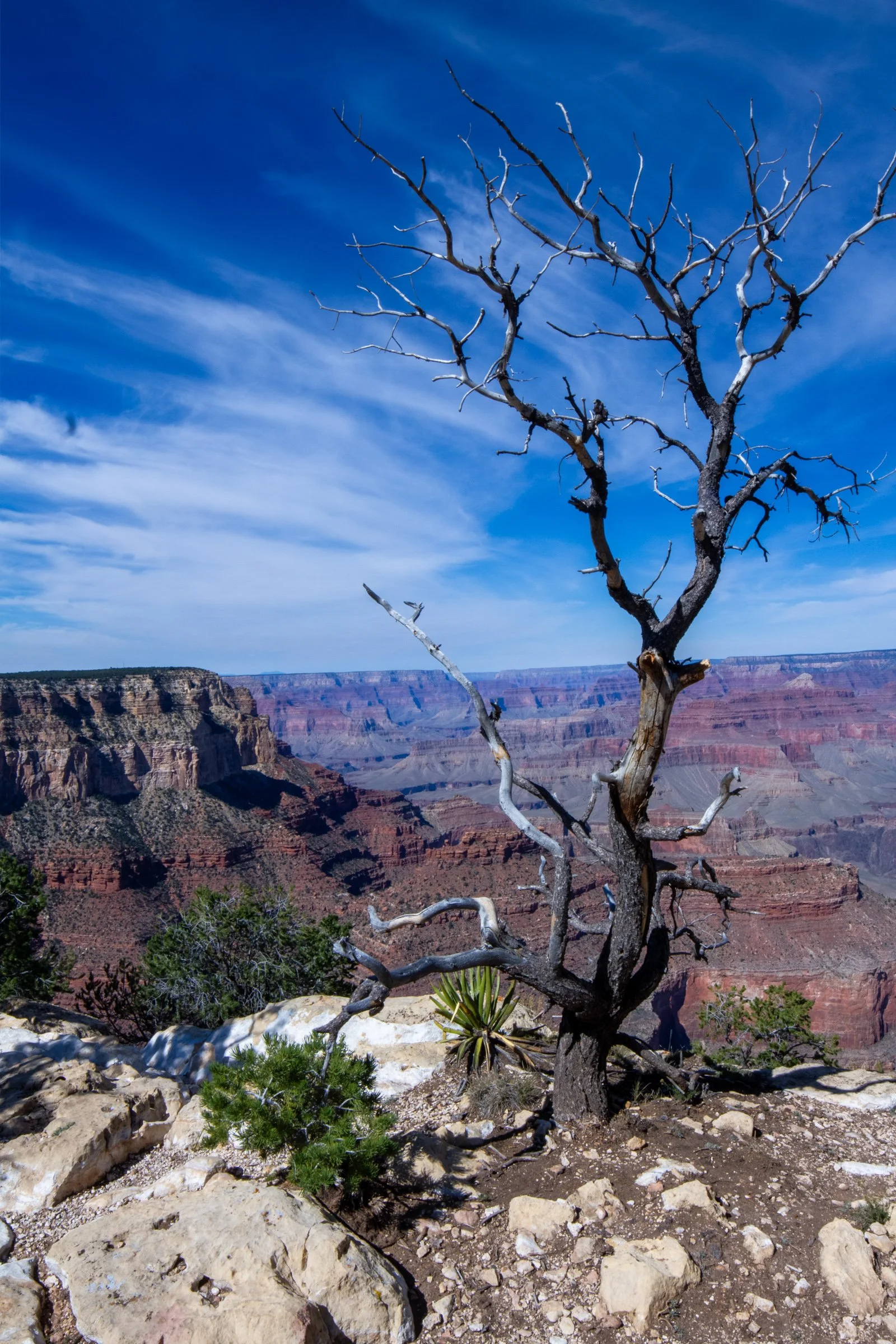 landscapes-1.jpg