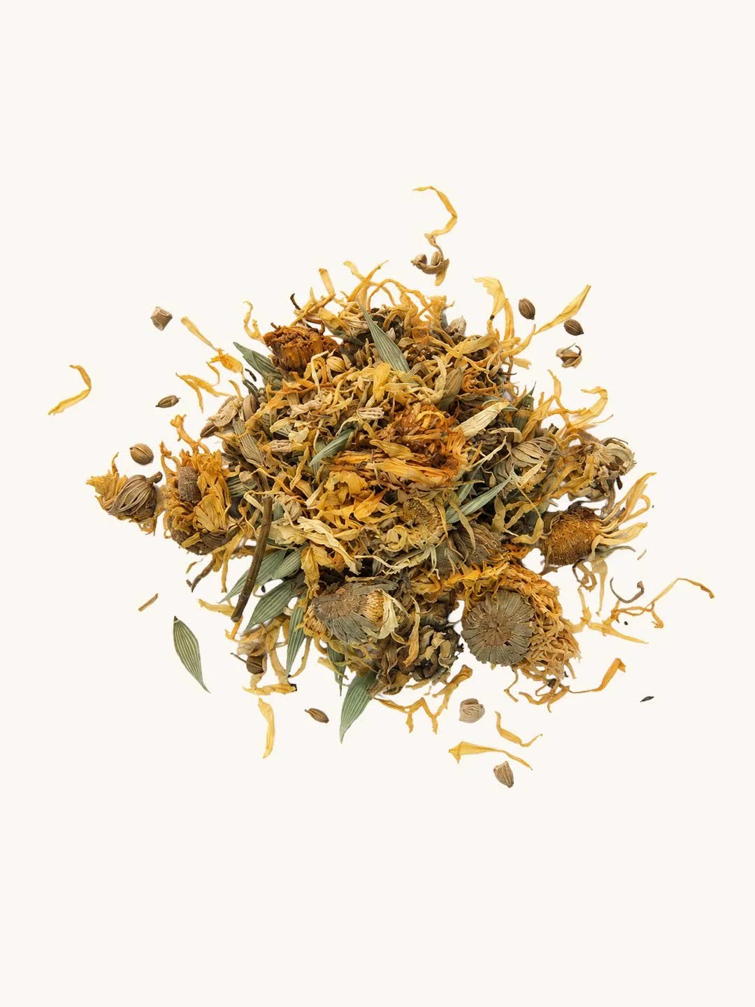 Broth-Campanion-Loose.jpg (Copy) (Copy)