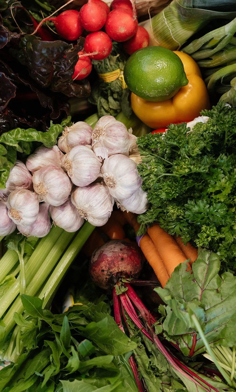 A variety of fresh vegetables including garlic, carrots, bell peppers, radishes, green onion, and leafy greens.