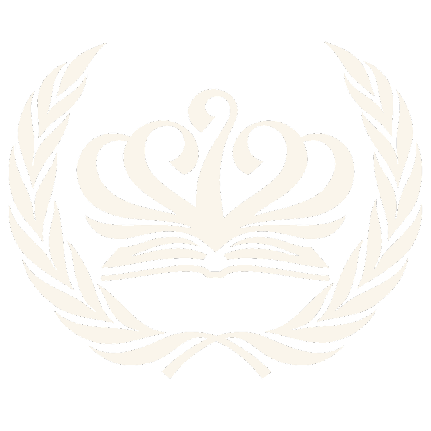 NAISMUN VI