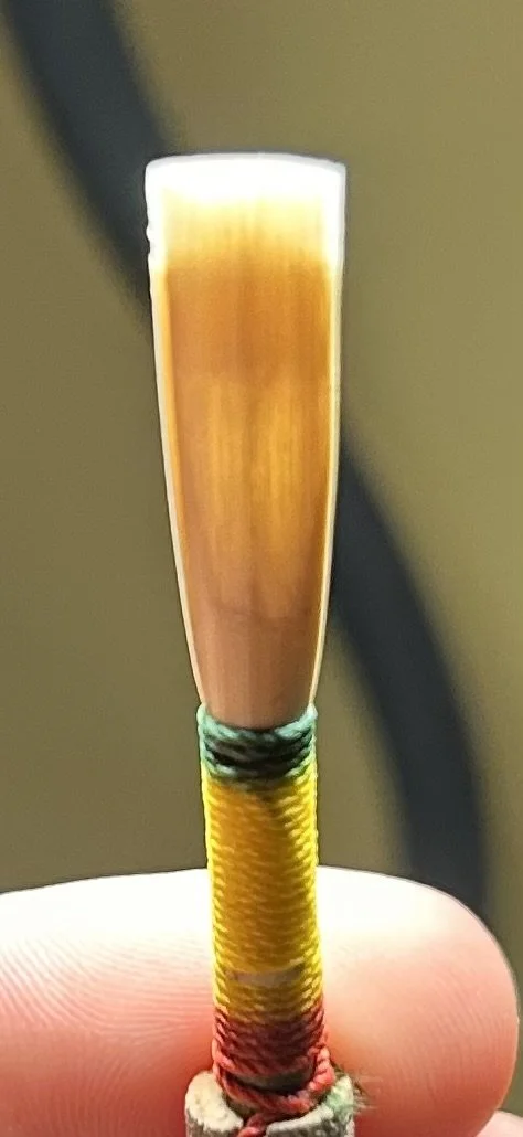 Student Oboe Reed