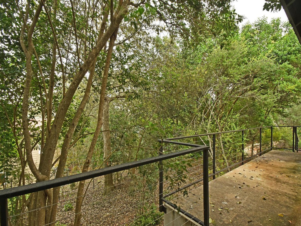 A balcony with a metal railing overlooking a densely wooded area with many trees and green leaves.