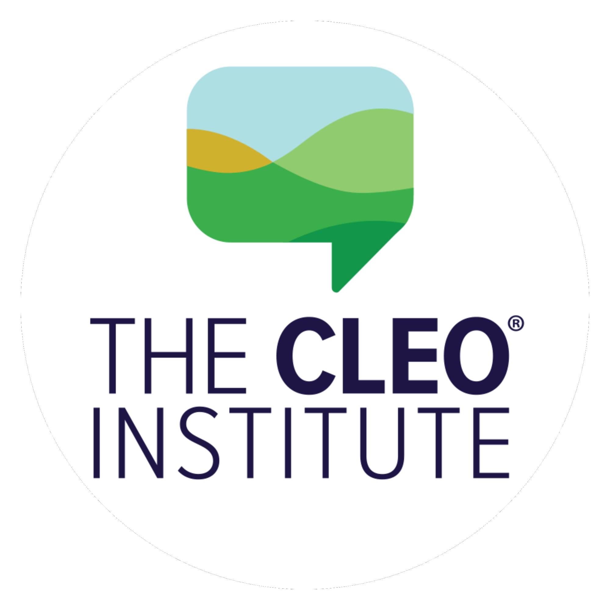 The CLEO Institute