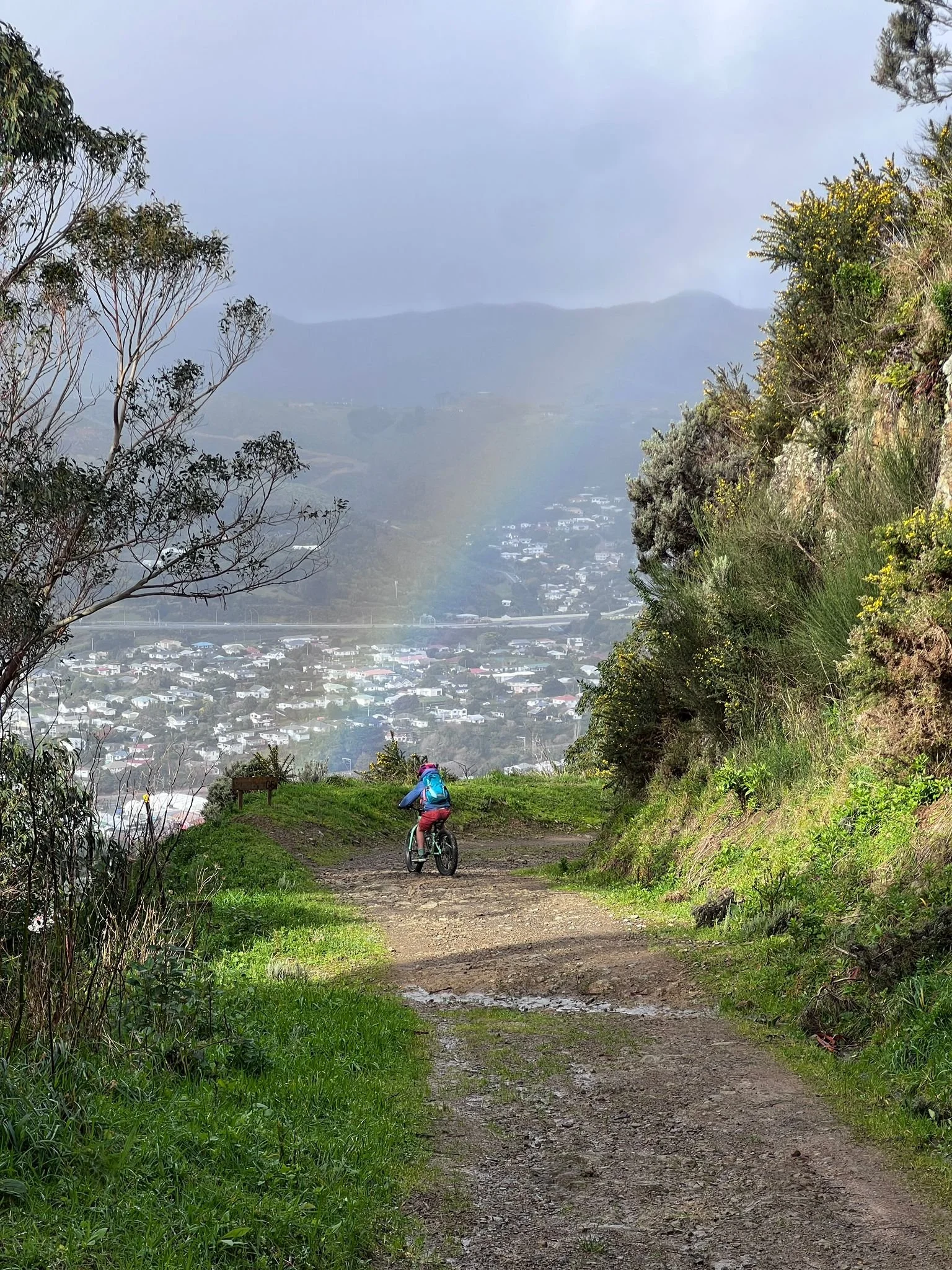 A person riding a bicycle on a dirt trail in a lush green area, with trees on each side and a cityscape with buildings and a mountain in the background.