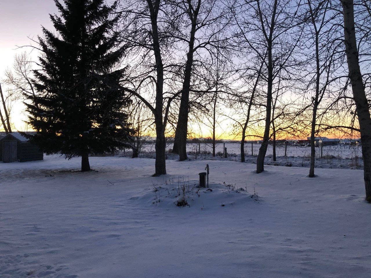 thumbnail_IMG_4911.jpg