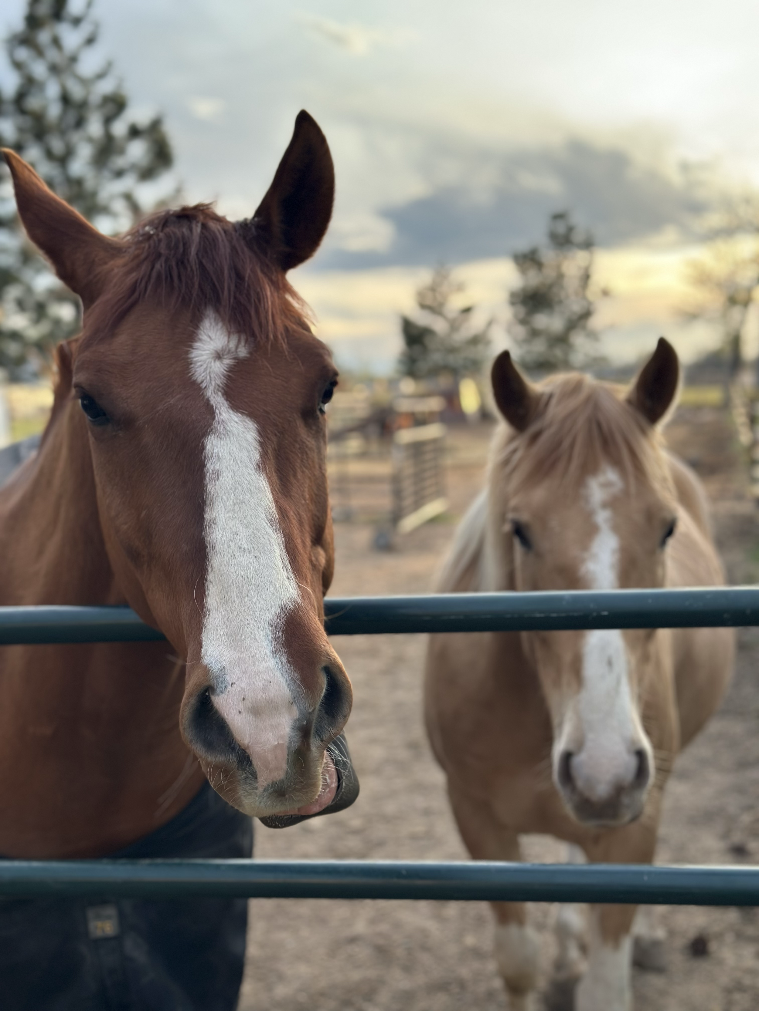 tempImageppmphG.png