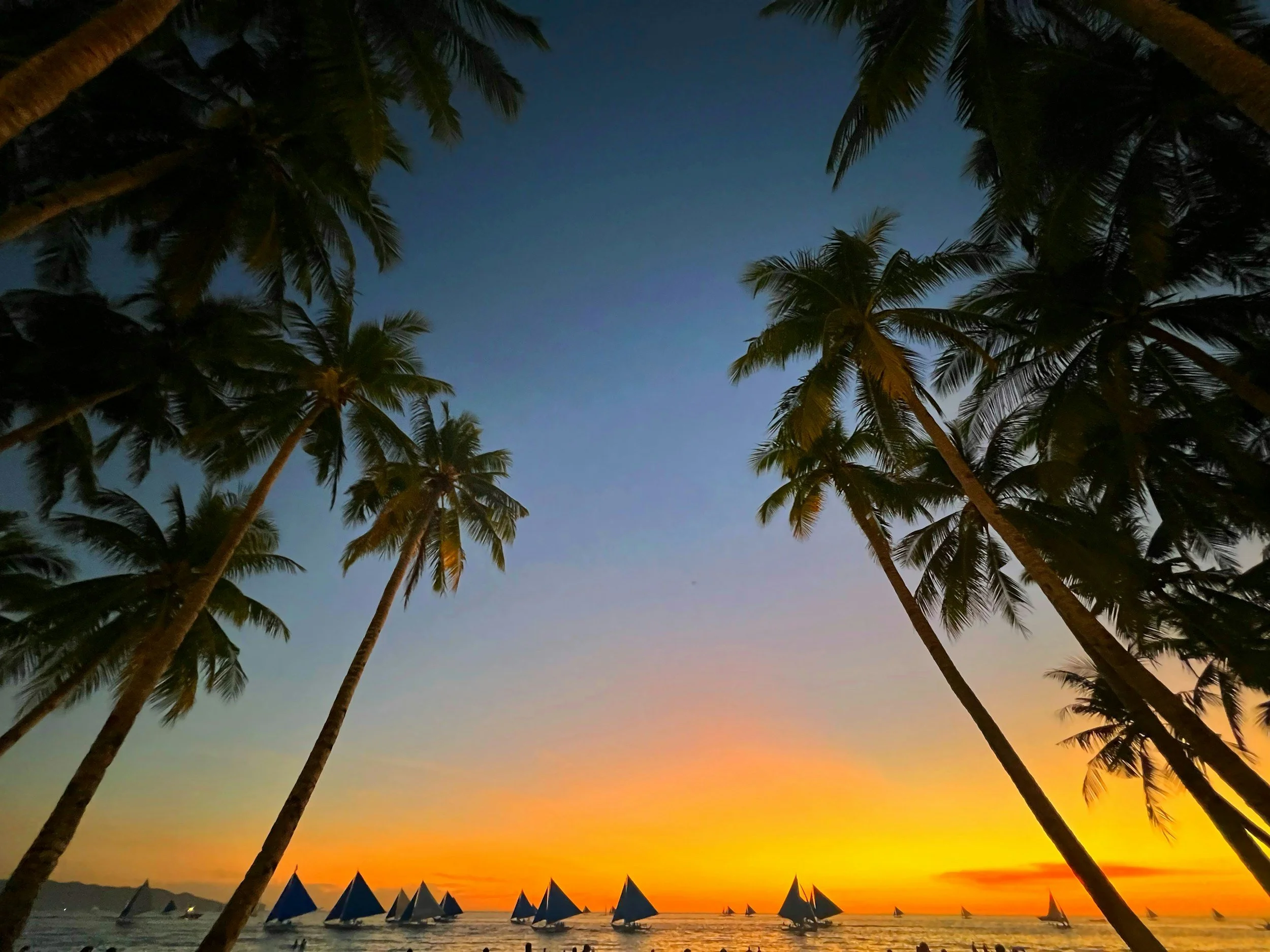 Palm trees are silhouetted against a colorful sunset sky over the ocean, with small sailboats in the distance and tents along the shoreline.
