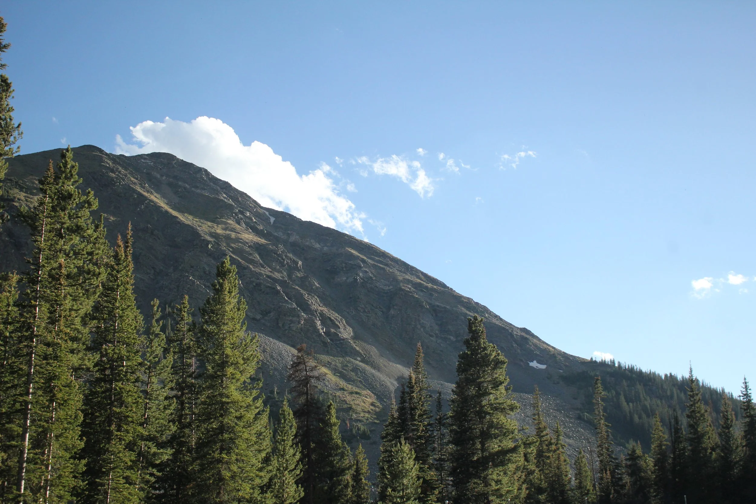 IMG_9731.JPG