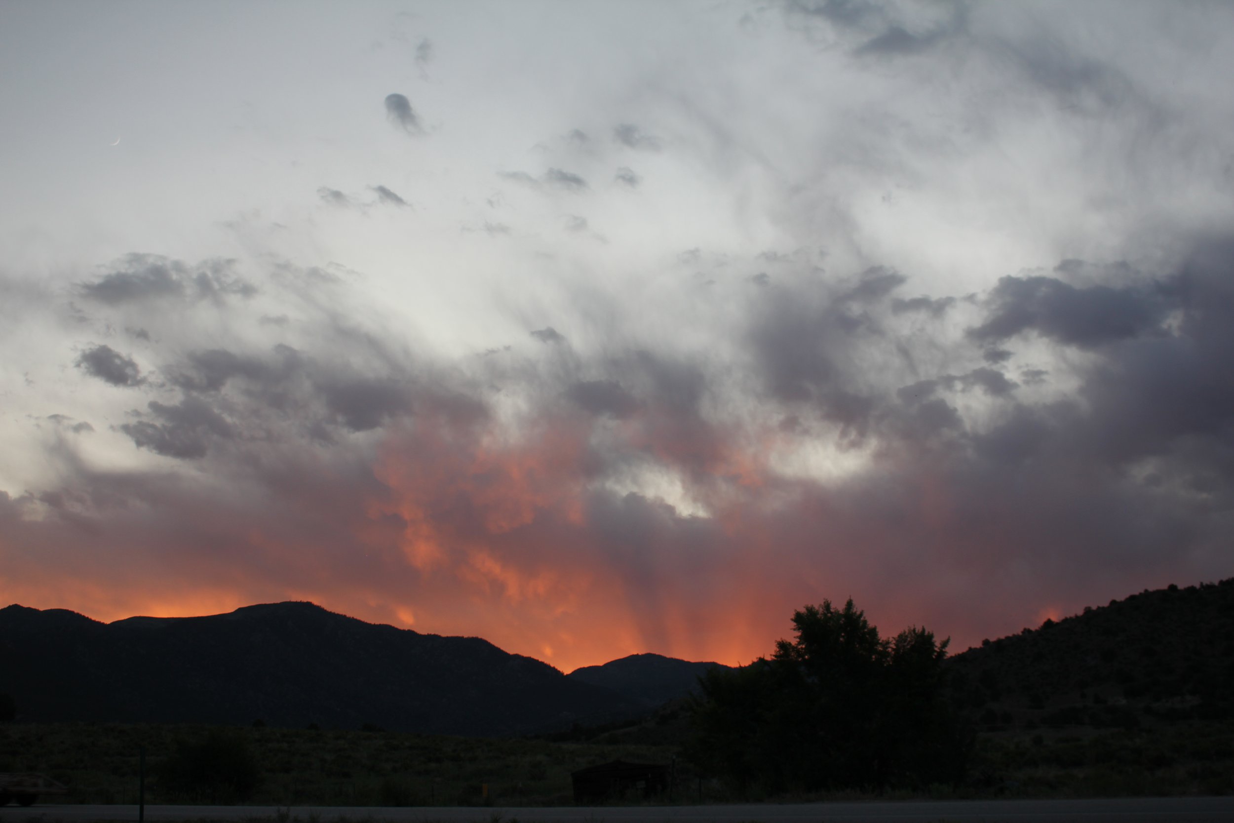 IMG-7156.JPG