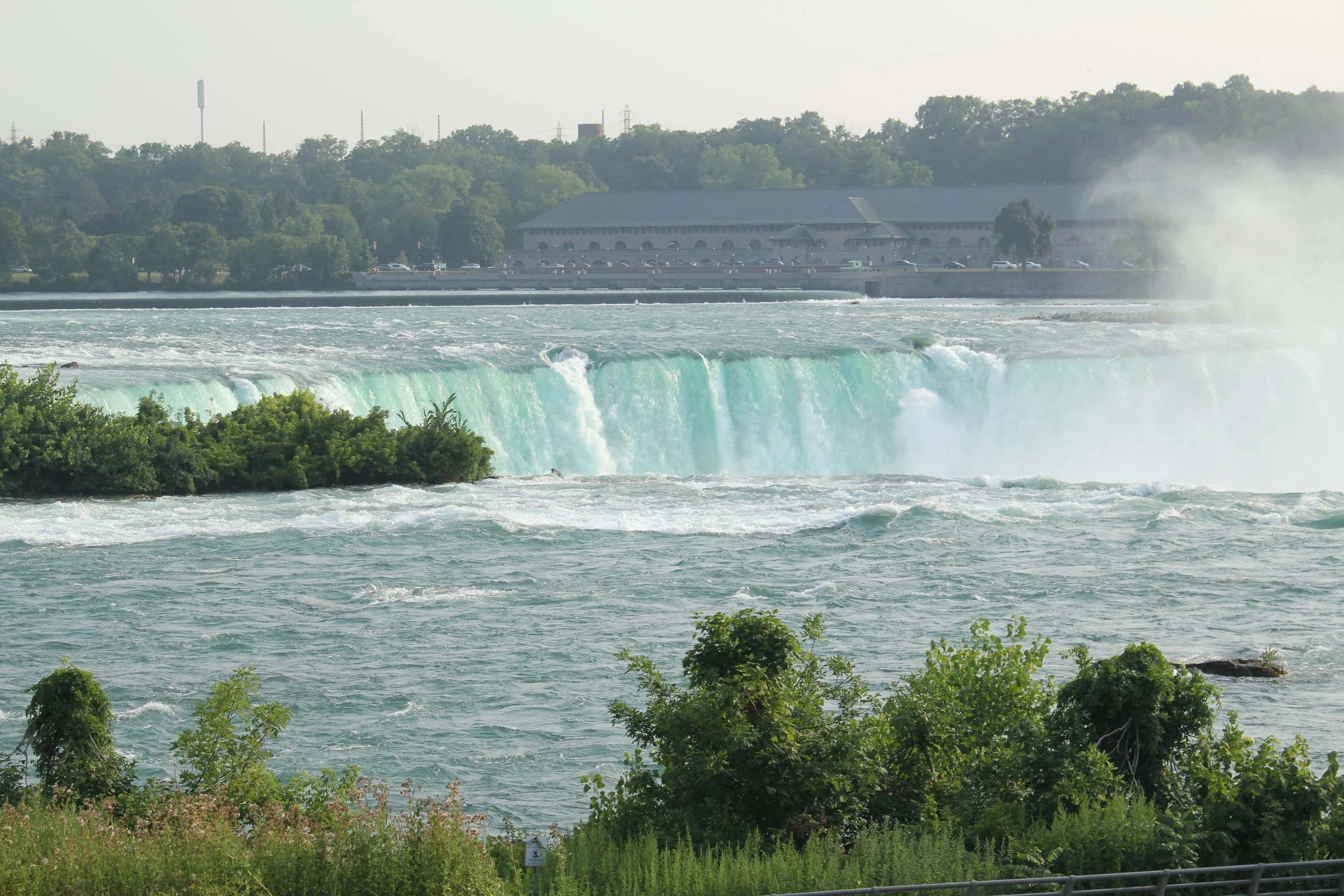 IMG_5779.JPG