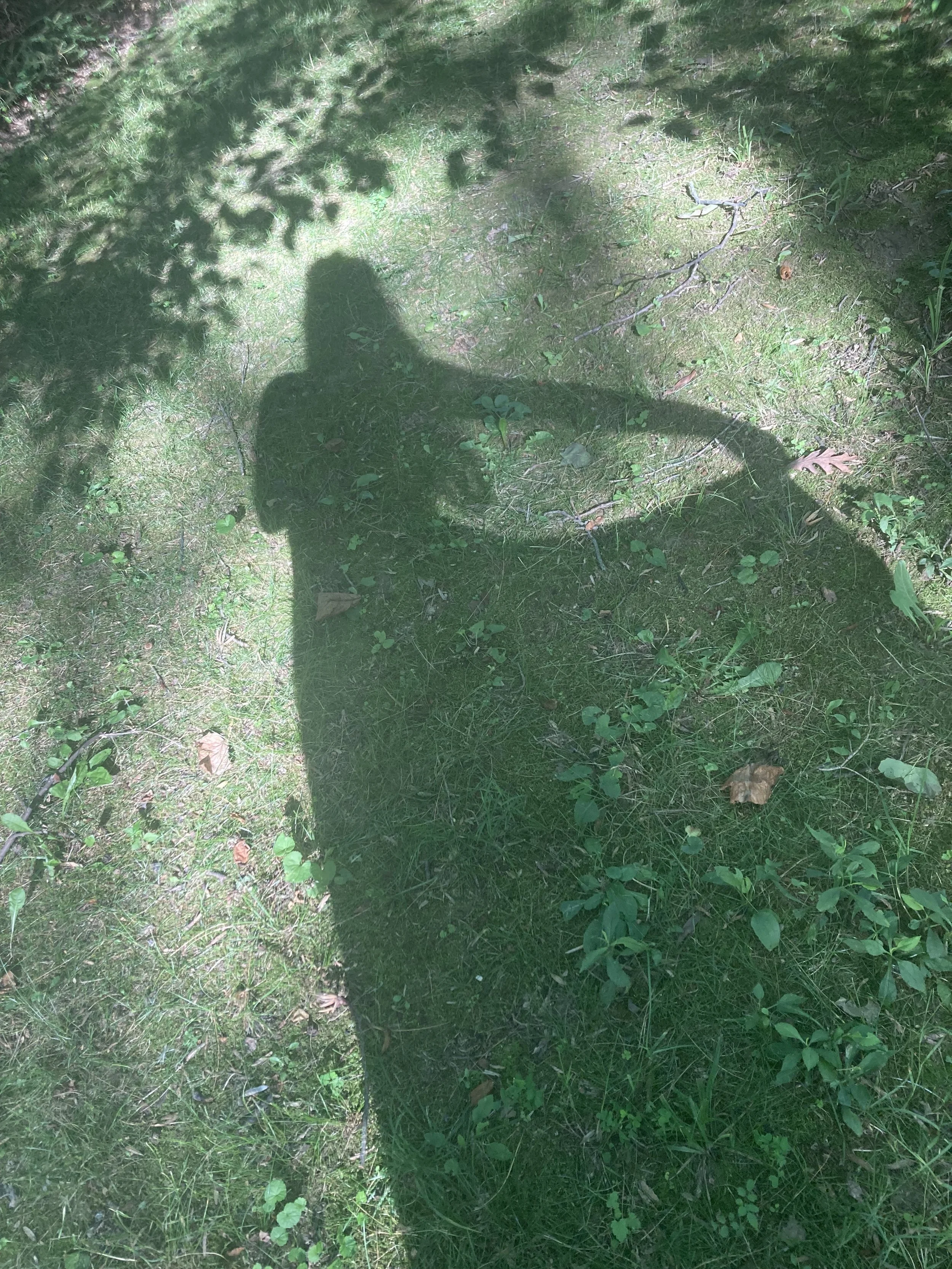 IMG_6022.jpeg