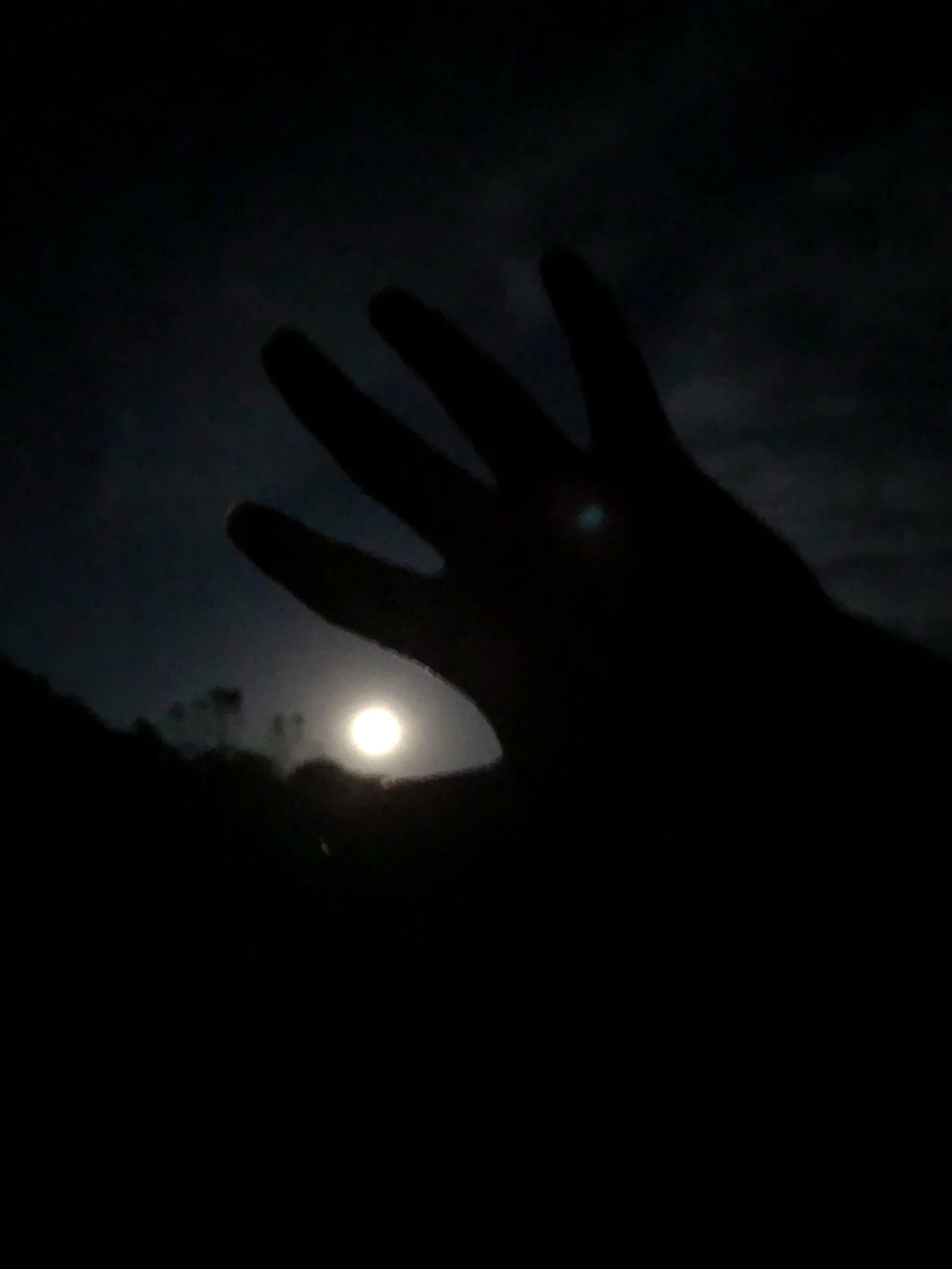 IMG_4663.jpeg