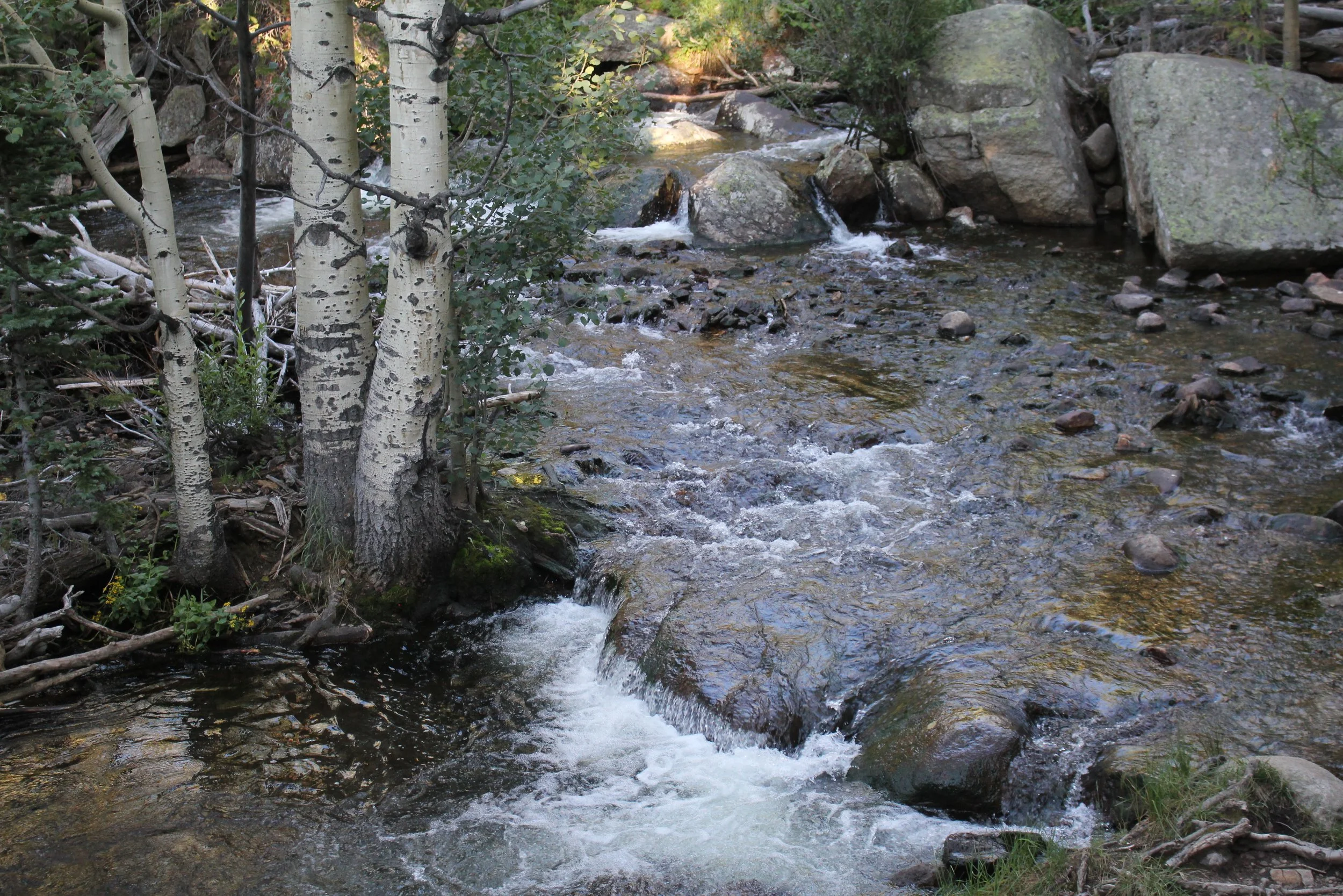 IMG_1270.JPG