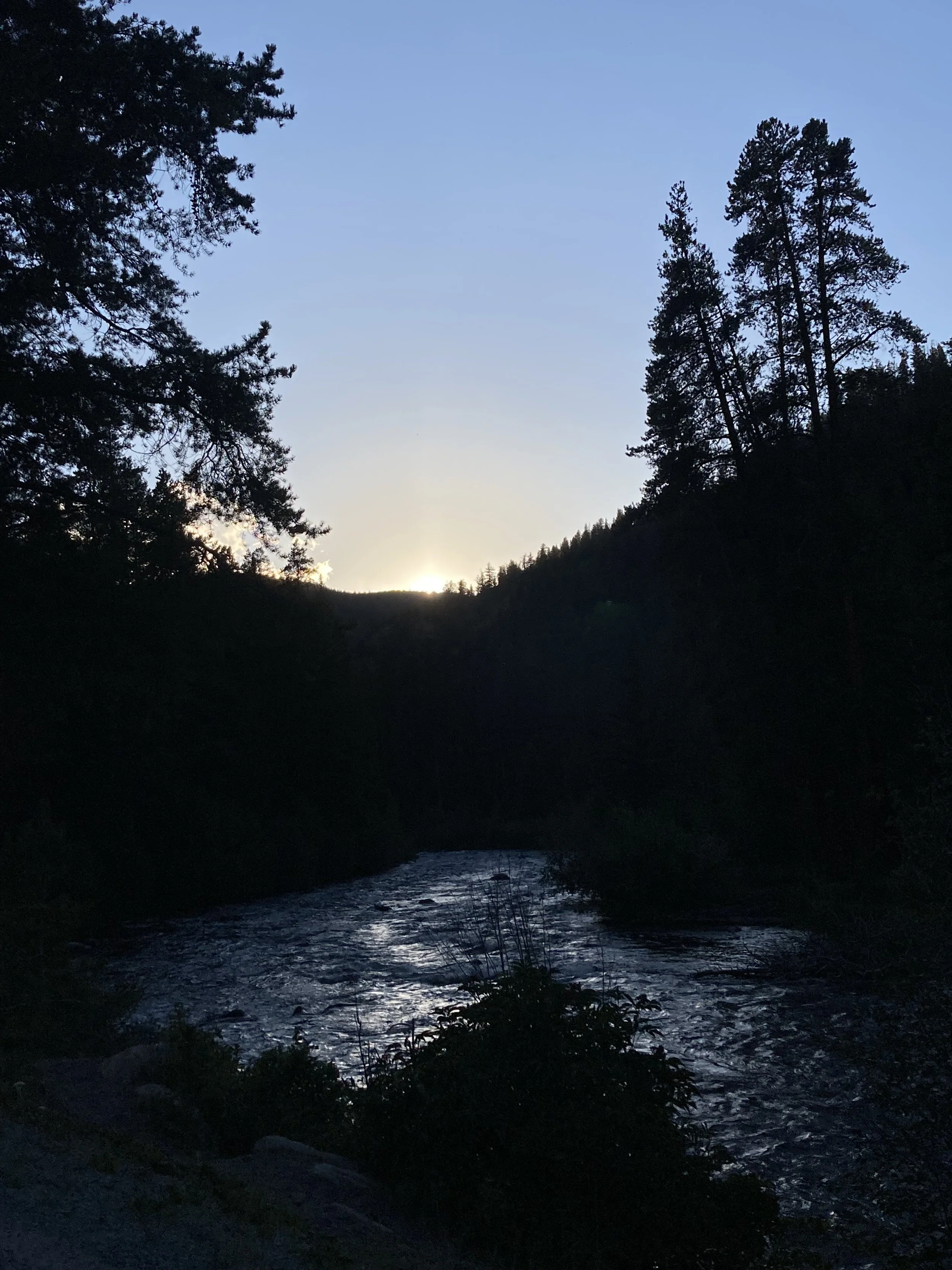IMG_7240.jpeg