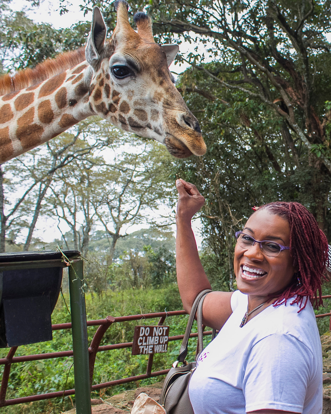 Giraffe Center & Kitengela Glass