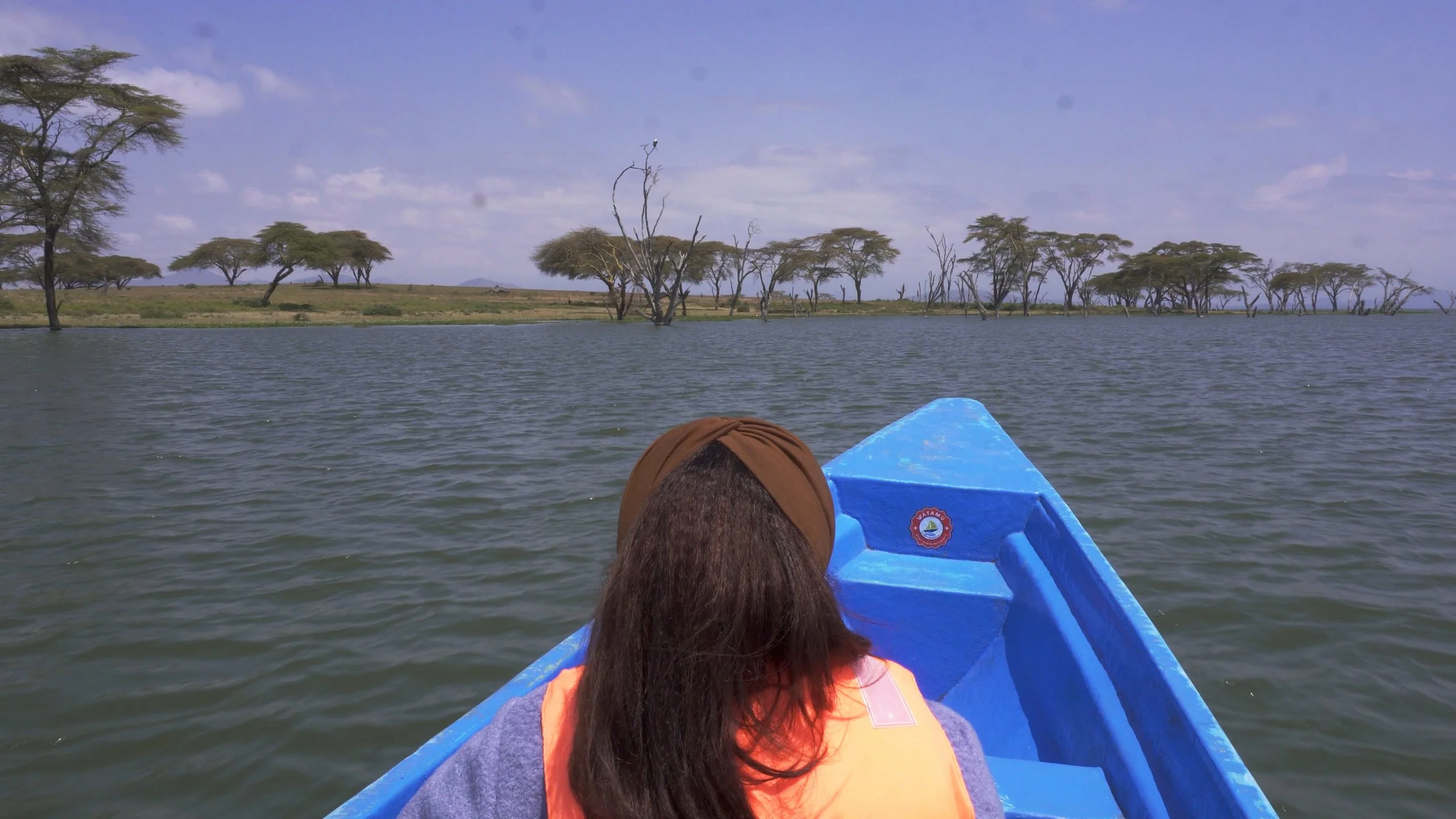 Full Day: Lake Naivasha