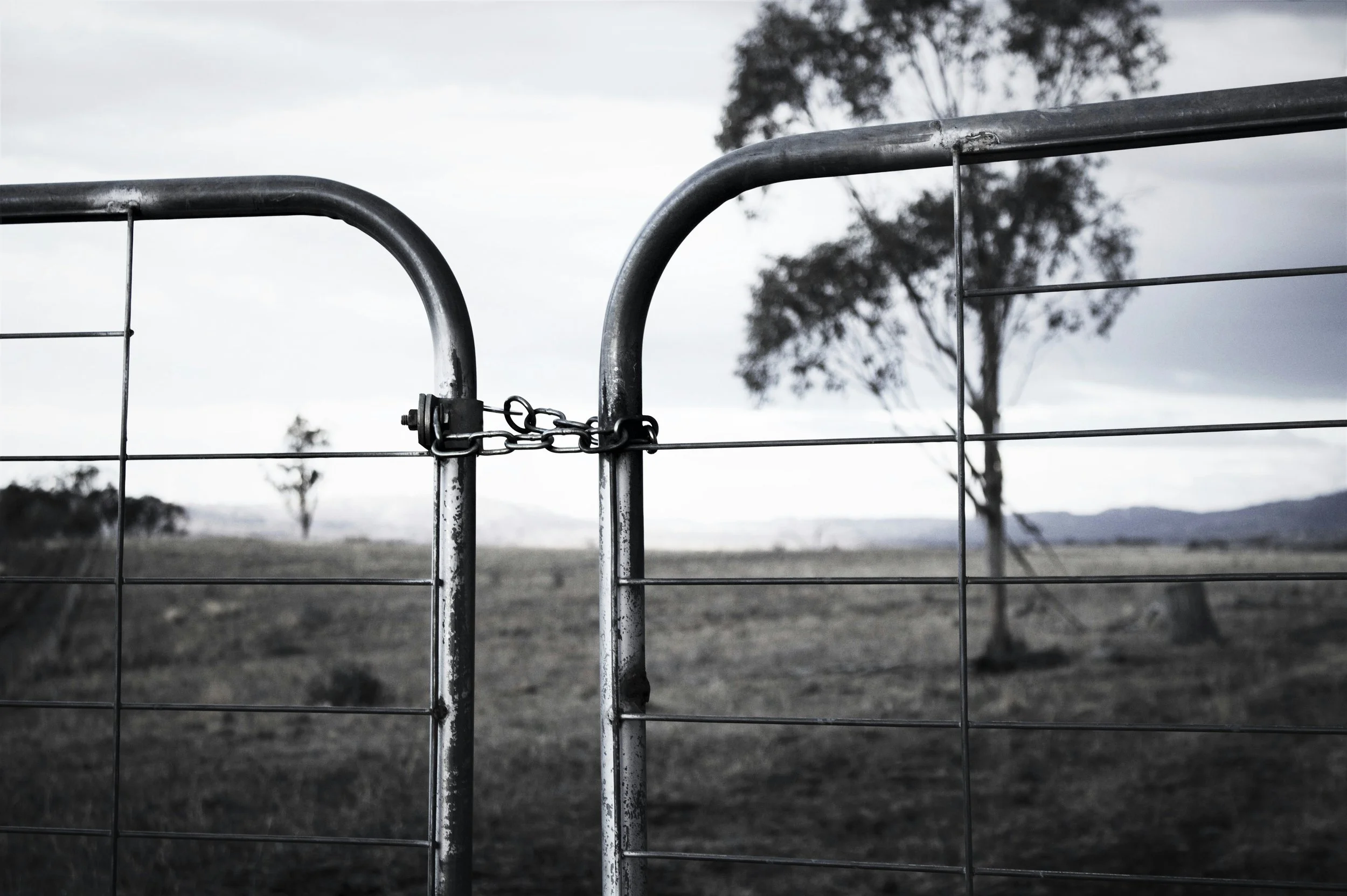 A metal gate with chains locked, set against a rural landscape with trees and cloudy sky.