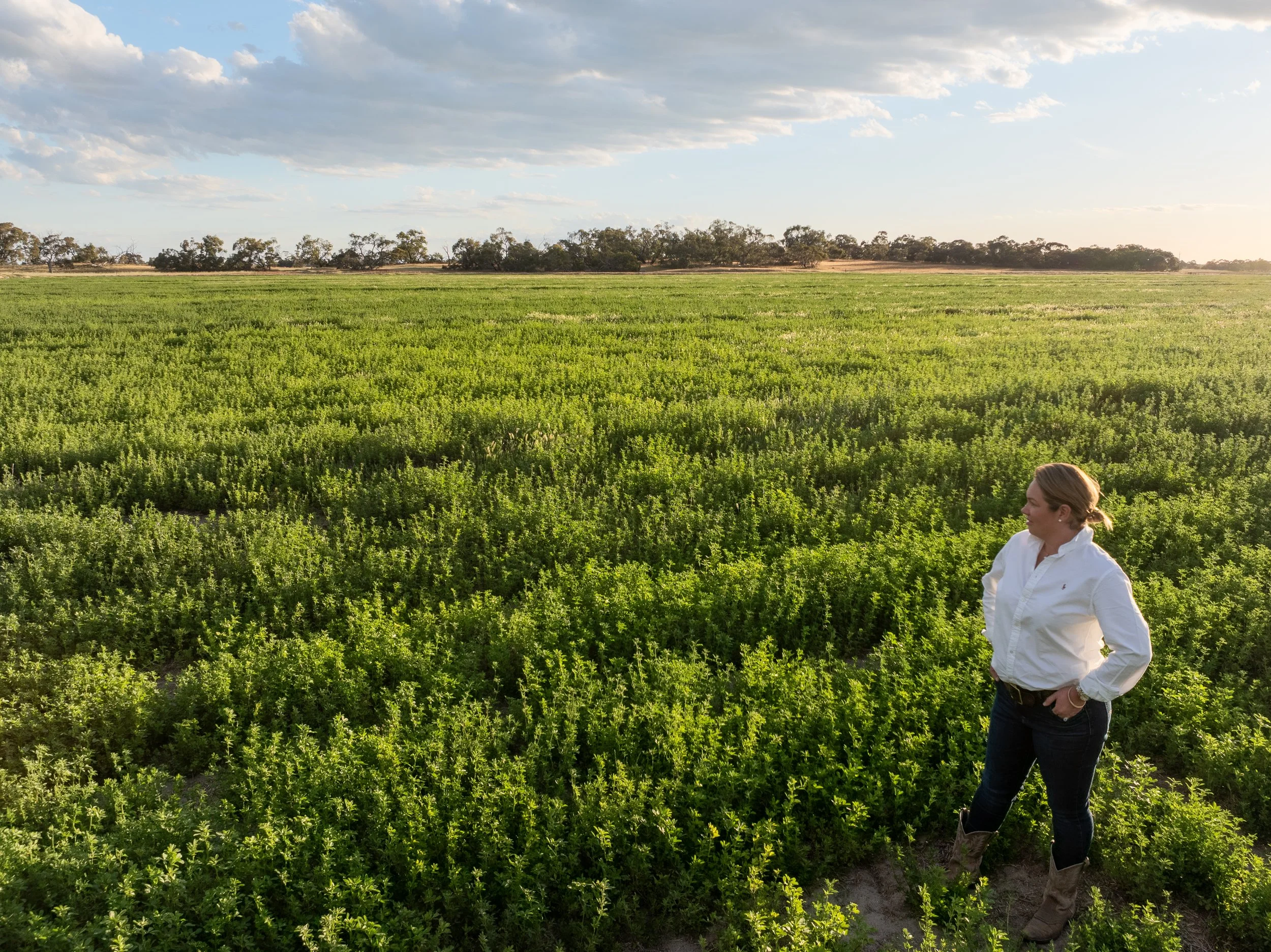 Sarah Secker, founder of Regional Collective, standing in a crop paddock near Keith, South Australia
