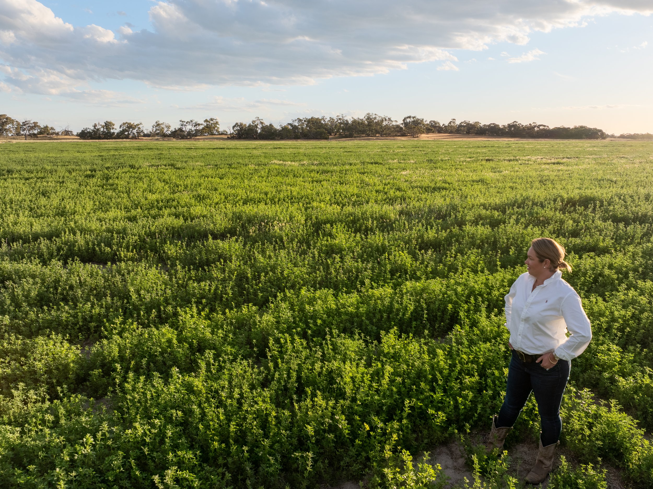 Sarah Secker, founder of Regional Collective, standing in a regional South Australian field