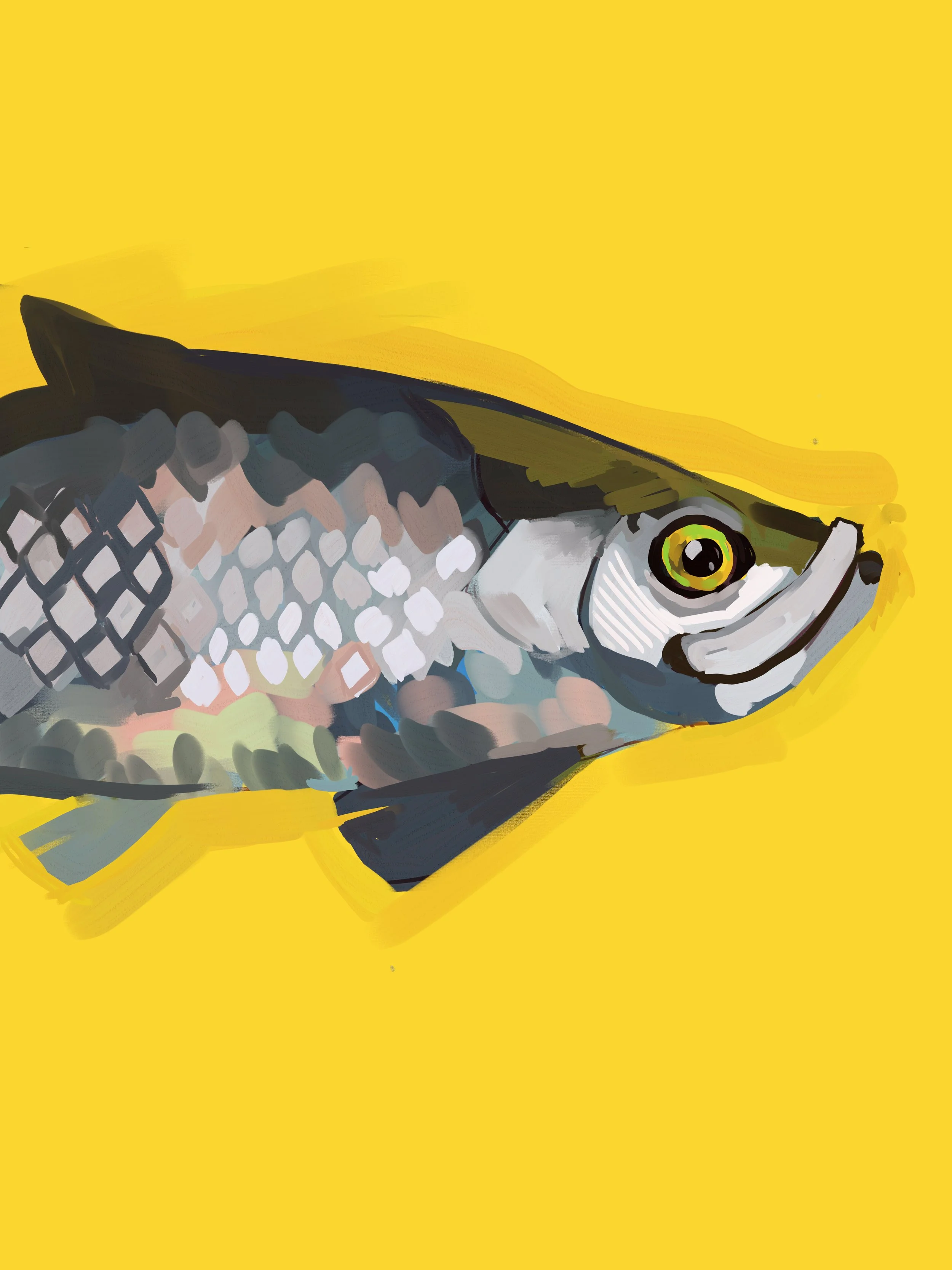 Illustration.jpg